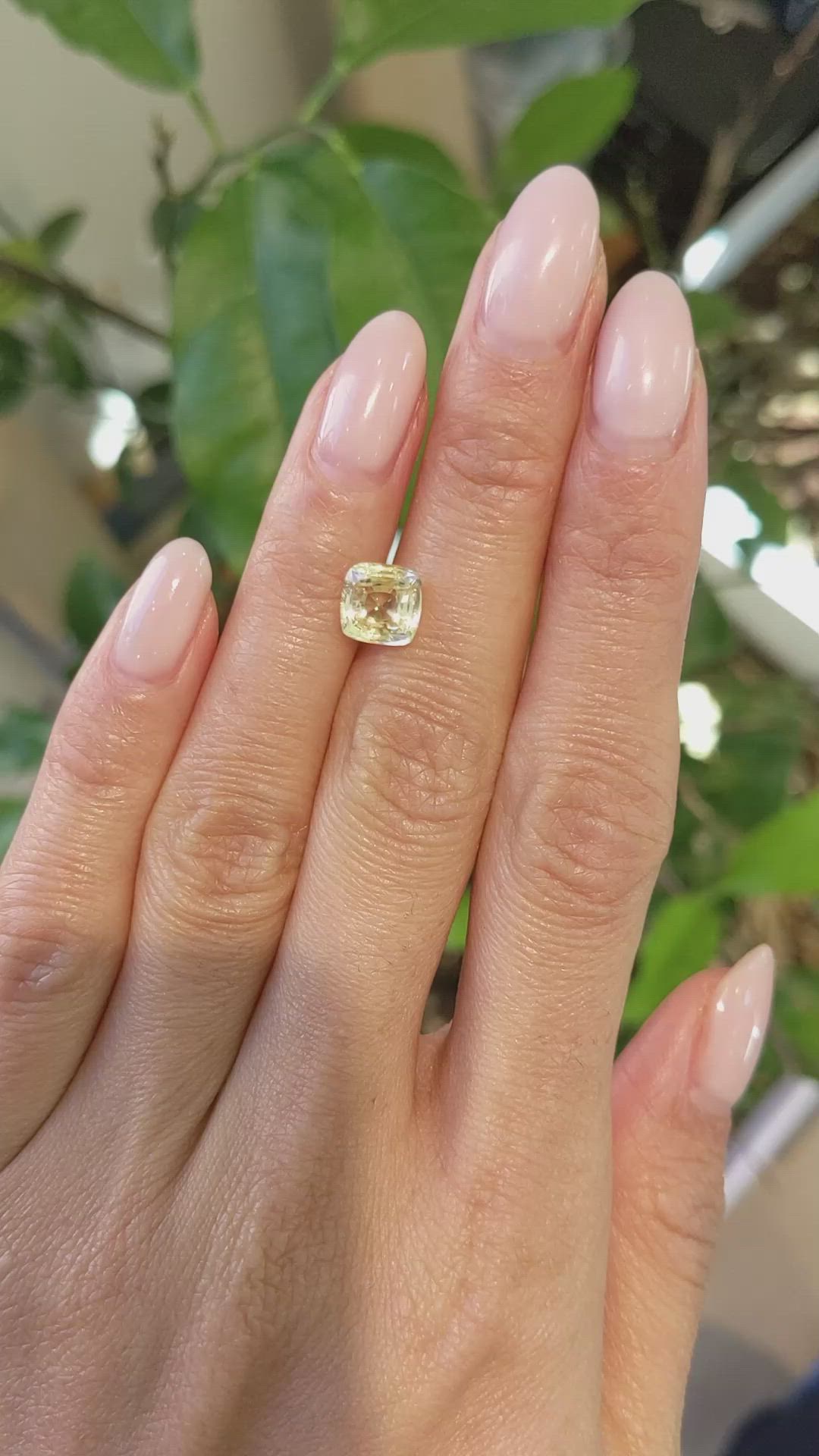 2.34 Ct. Yellow Sapphire from Ceylon (Sri Lanka) Size Video
