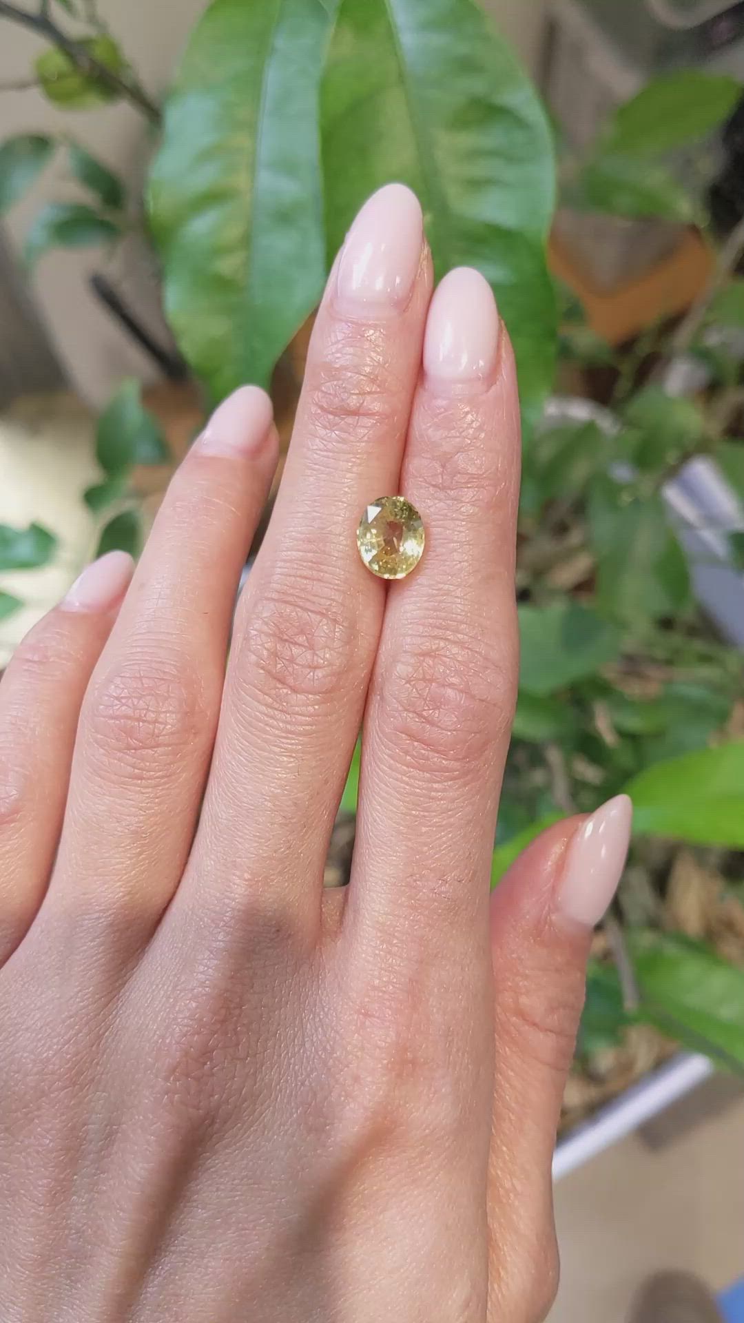 3.06 Ct. Yellow Sapphire from Ceylon (Sri Lanka) Size Video