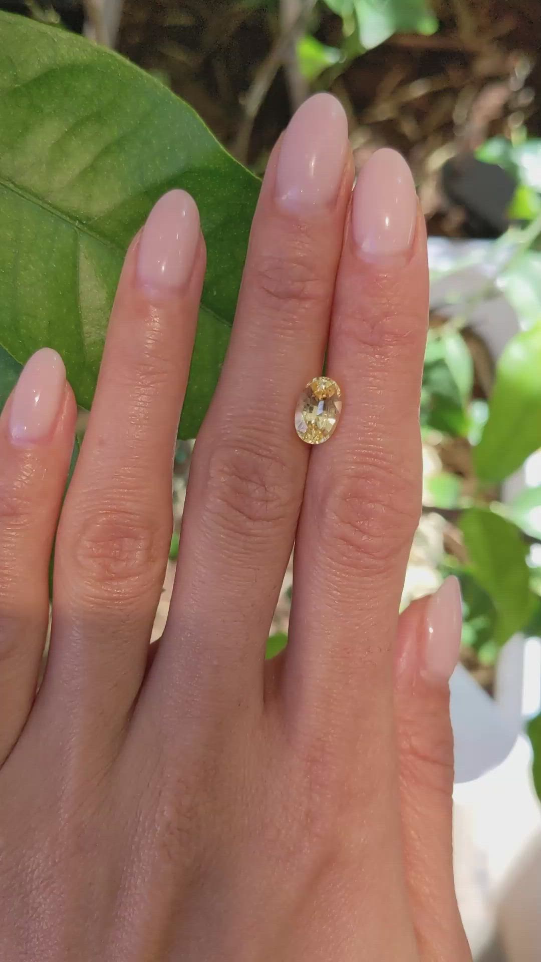 2.48 Ct. Yellow Sapphire from Ceylon (Sri Lanka) Size Video