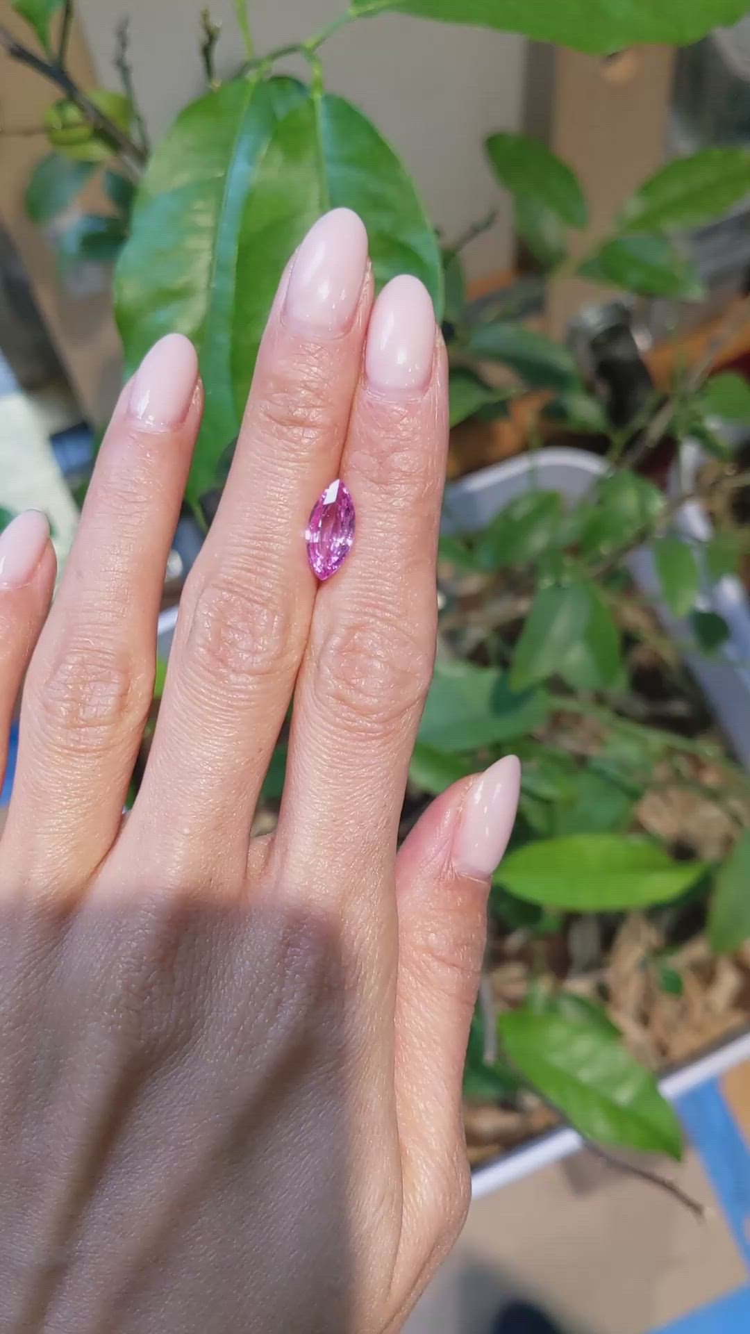 2.42 Ct. Pink Sapphire from Ceylon (Sri Lanka) Size Video