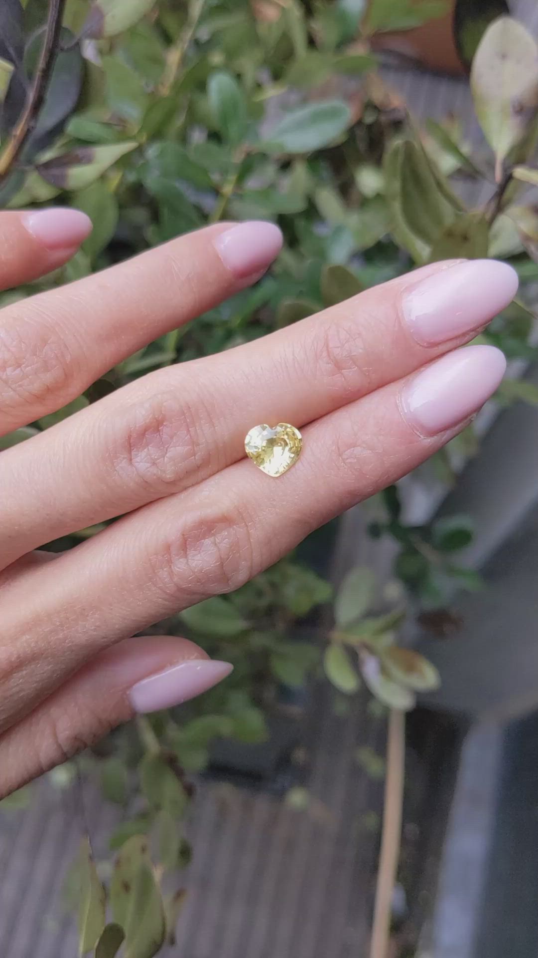 1.99 Ct. Yellow Sapphire from Ceylon (Sri Lanka) Size Video