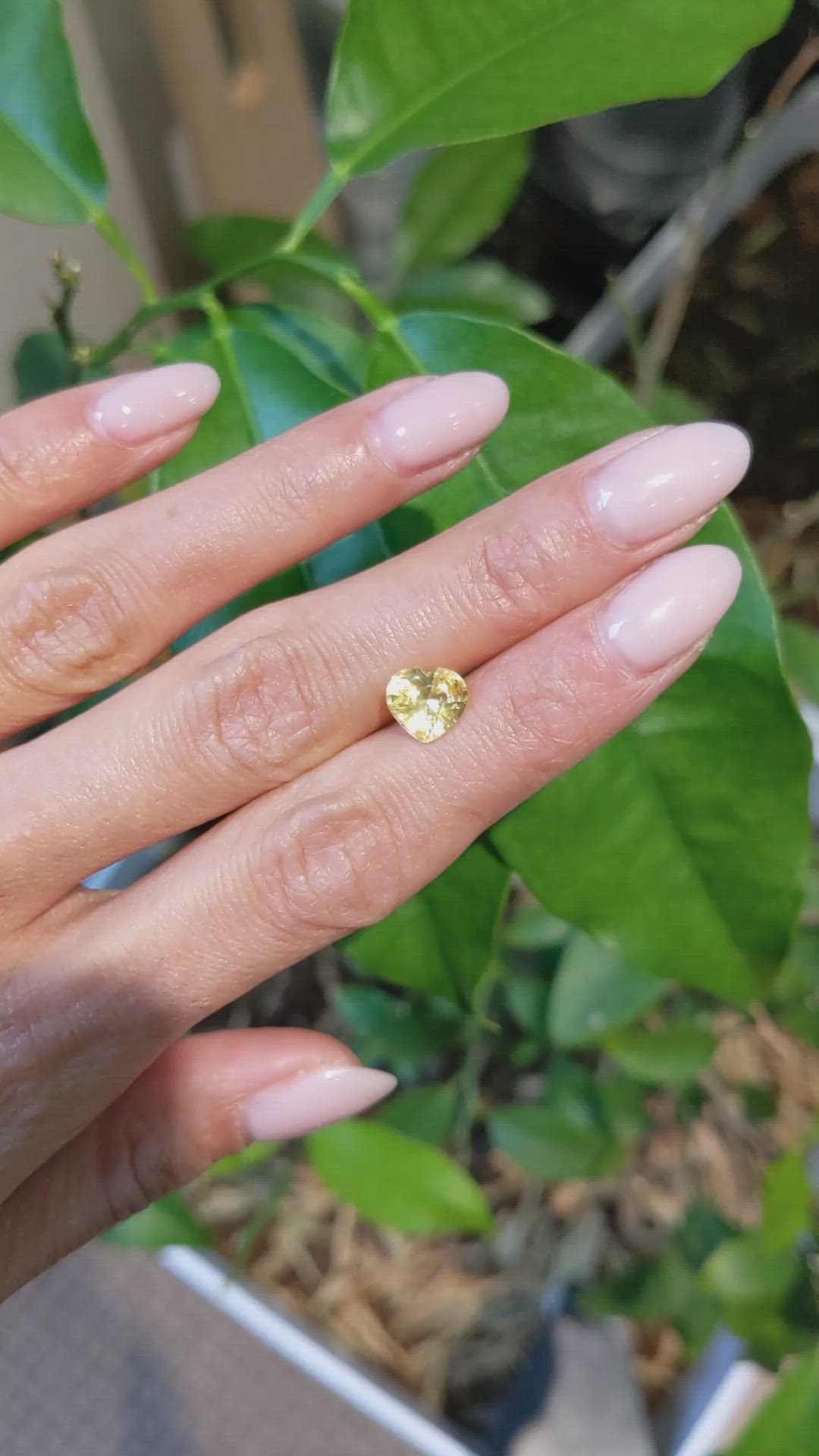 1.99 Ct. Yellow Sapphire from Ceylon (Sri Lanka) Size Video