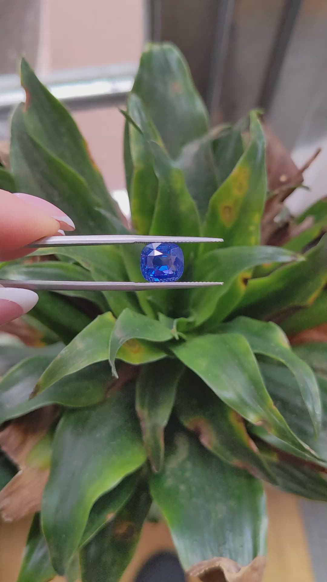 5.05 Ct. Blue Sapphire from Ceylon (Sri Lanka) Size Video