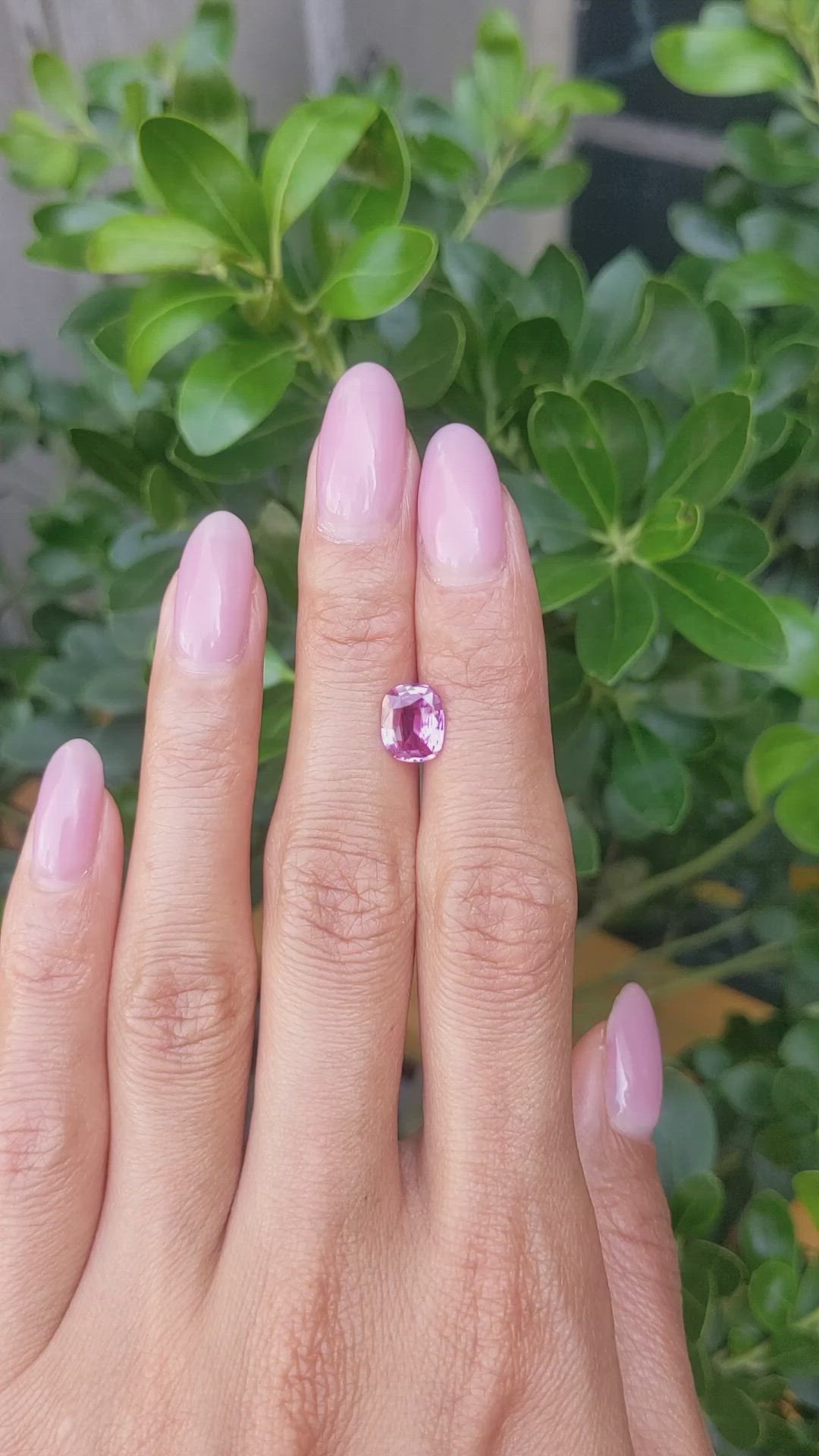 2.03 Ct. Purplish Pink Sapphire from Madagascar Size Video