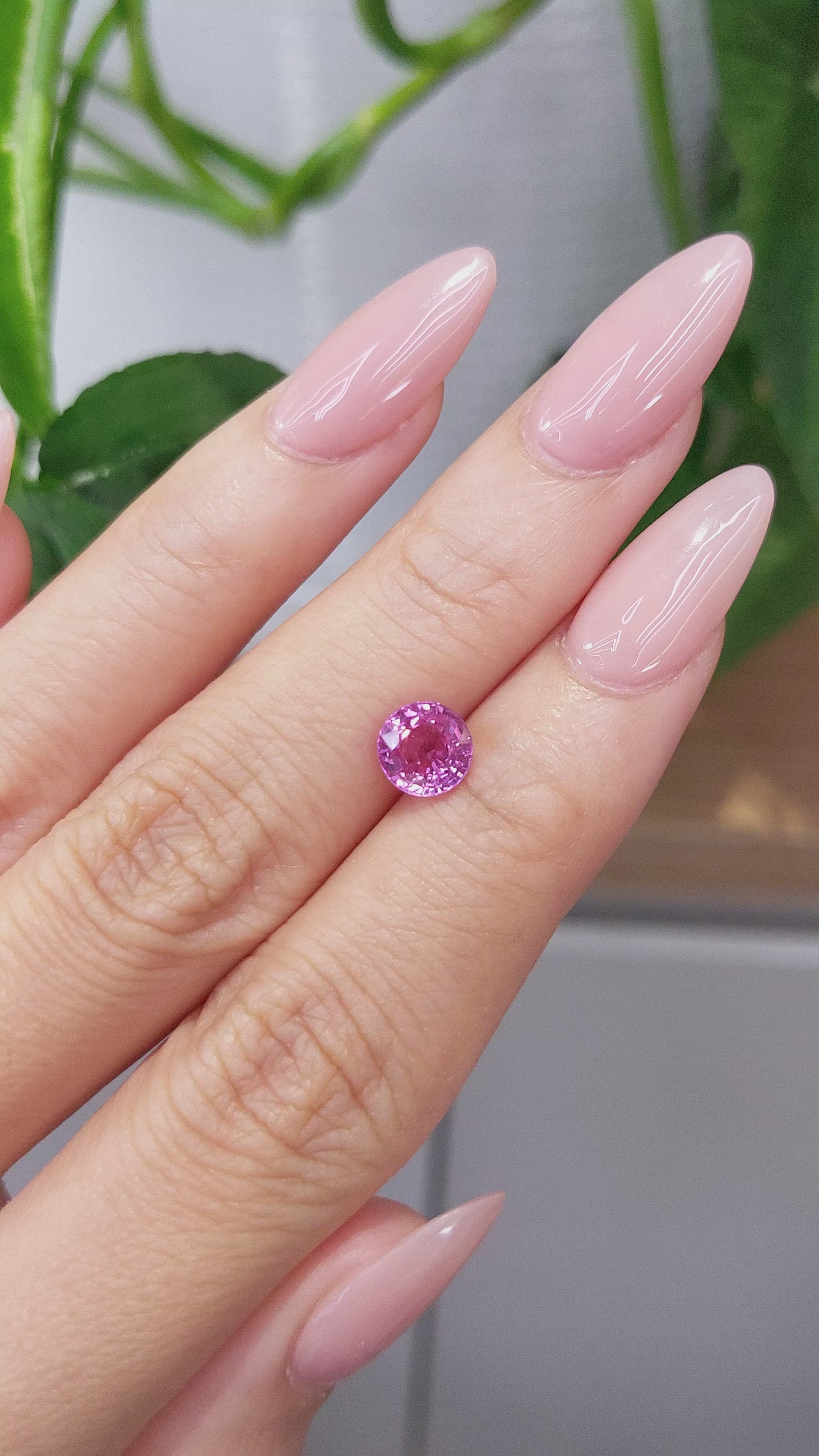1.66 Ct. Pink Sapphire from Ceylon (Sri Lanka) Size Video