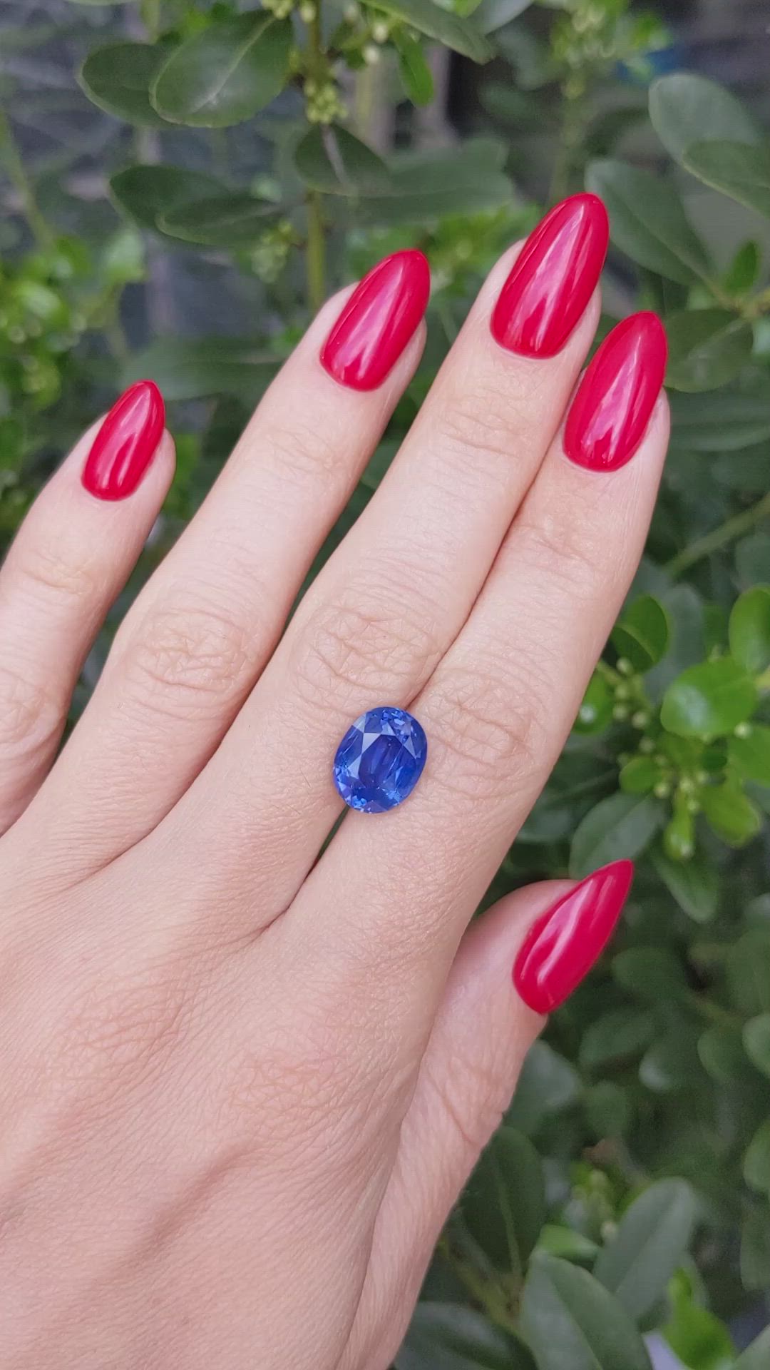 5.82 Ct. Blue Sapphire from Ceylon (Sri Lanka) Size Video