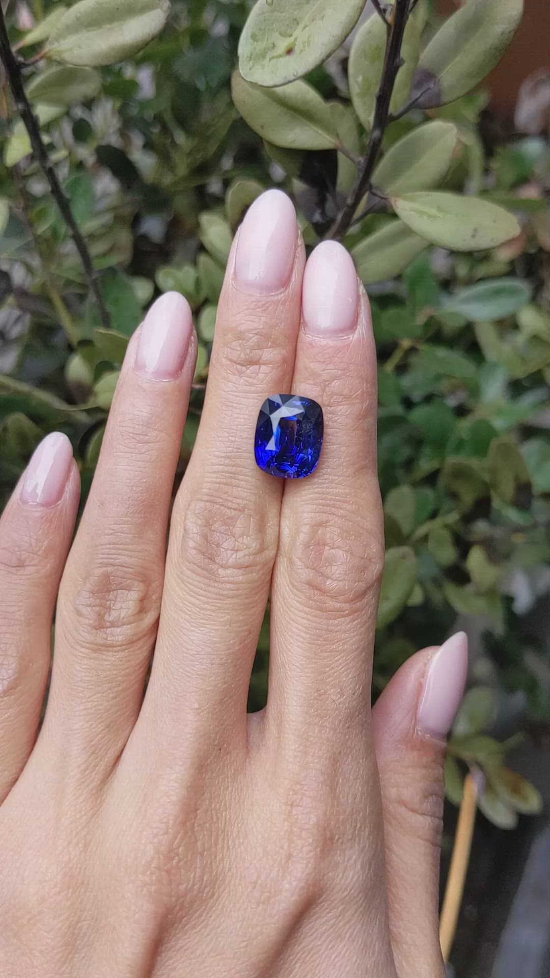 10.26 Ct. Blue Sapphire from Ceylon (Sri Lanka) Size Video