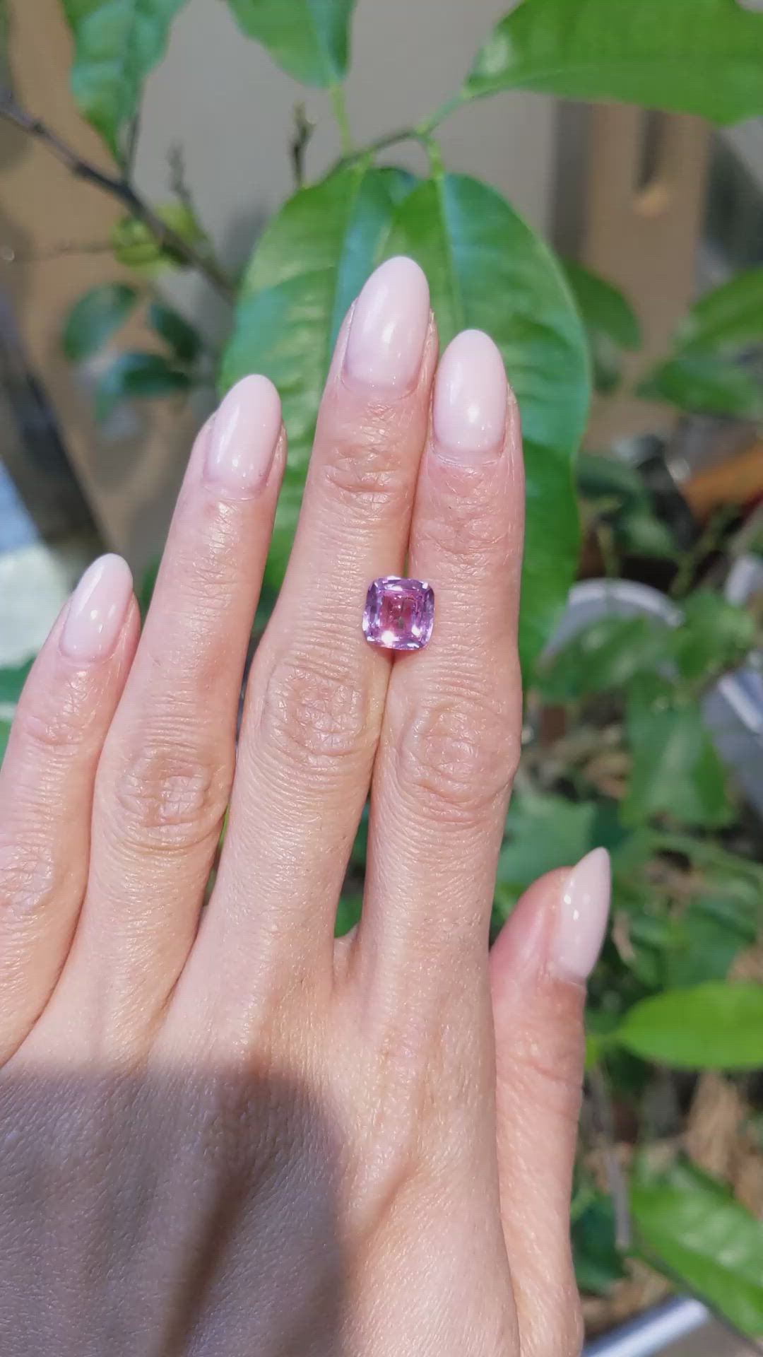 2.94 Ct. Pink Sapphire from Madagascar Size Video