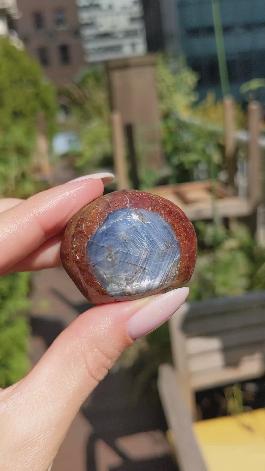 307.41 Ct. Bi Color Star Sapphire from Burma (Myanmar) Size Video