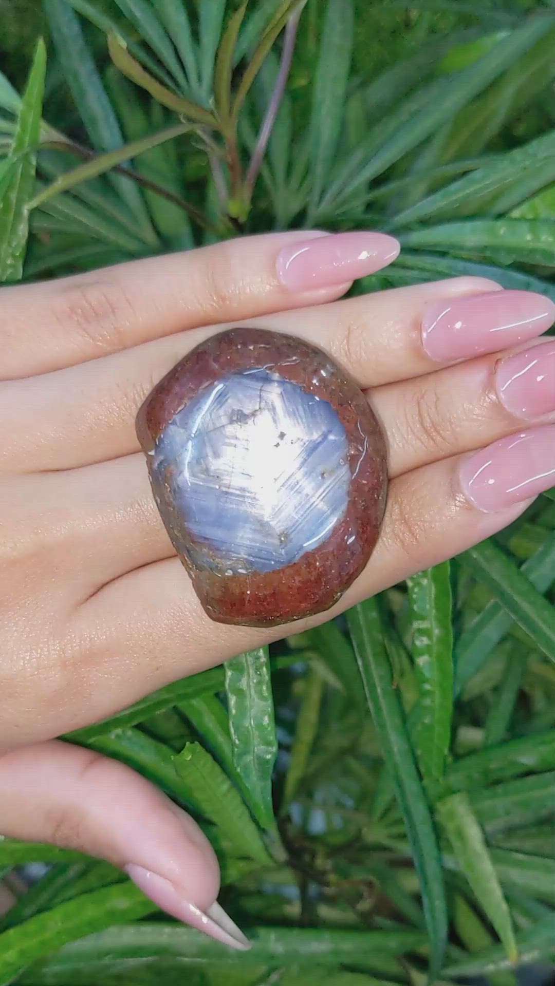 307.41 Ct. Bi Color Star Sapphire from Burma (Myanmar) Size Video