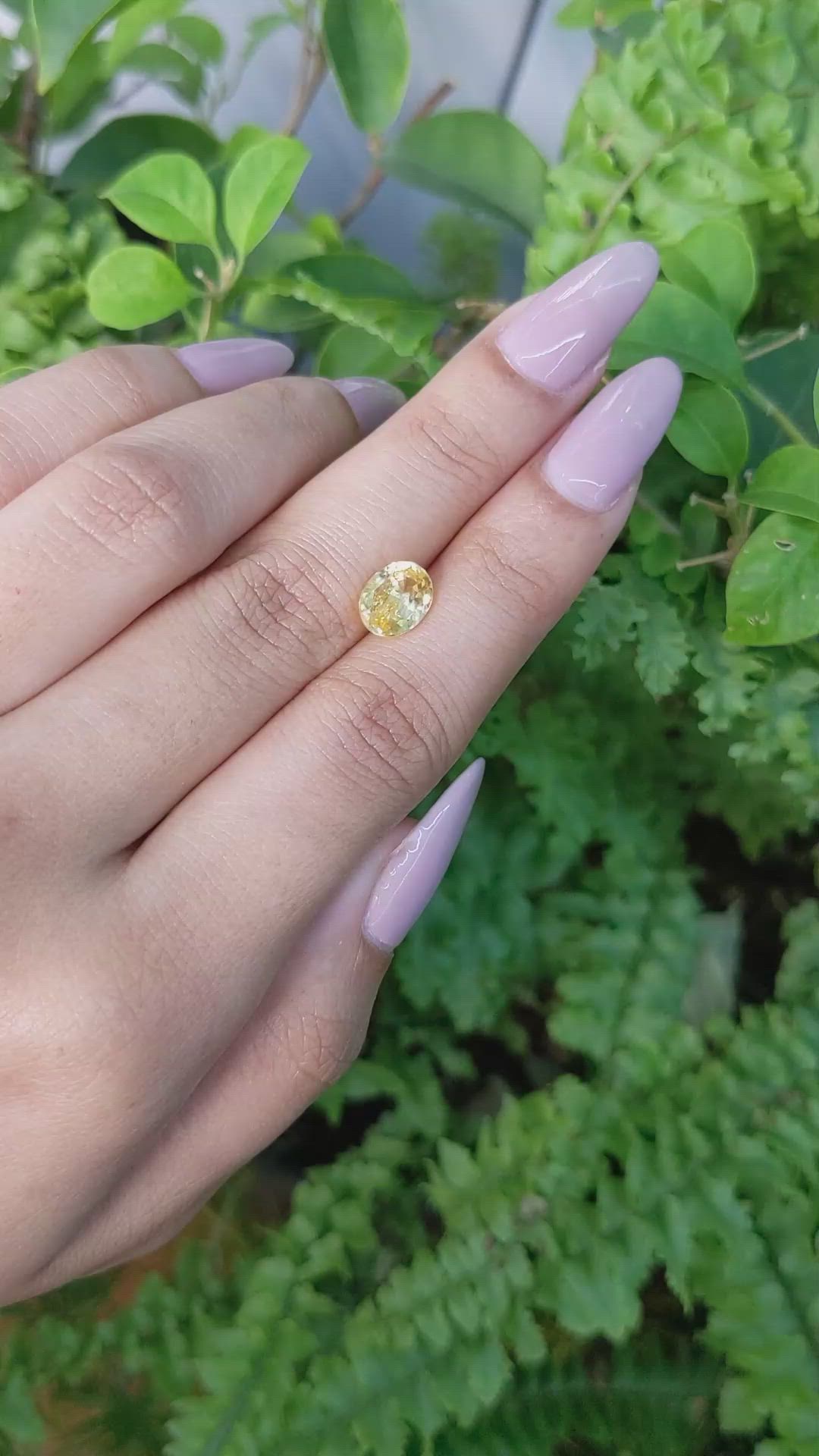 2.56 Ct. Yellow Sapphire from Ceylon (Sri Lanka) Size Video