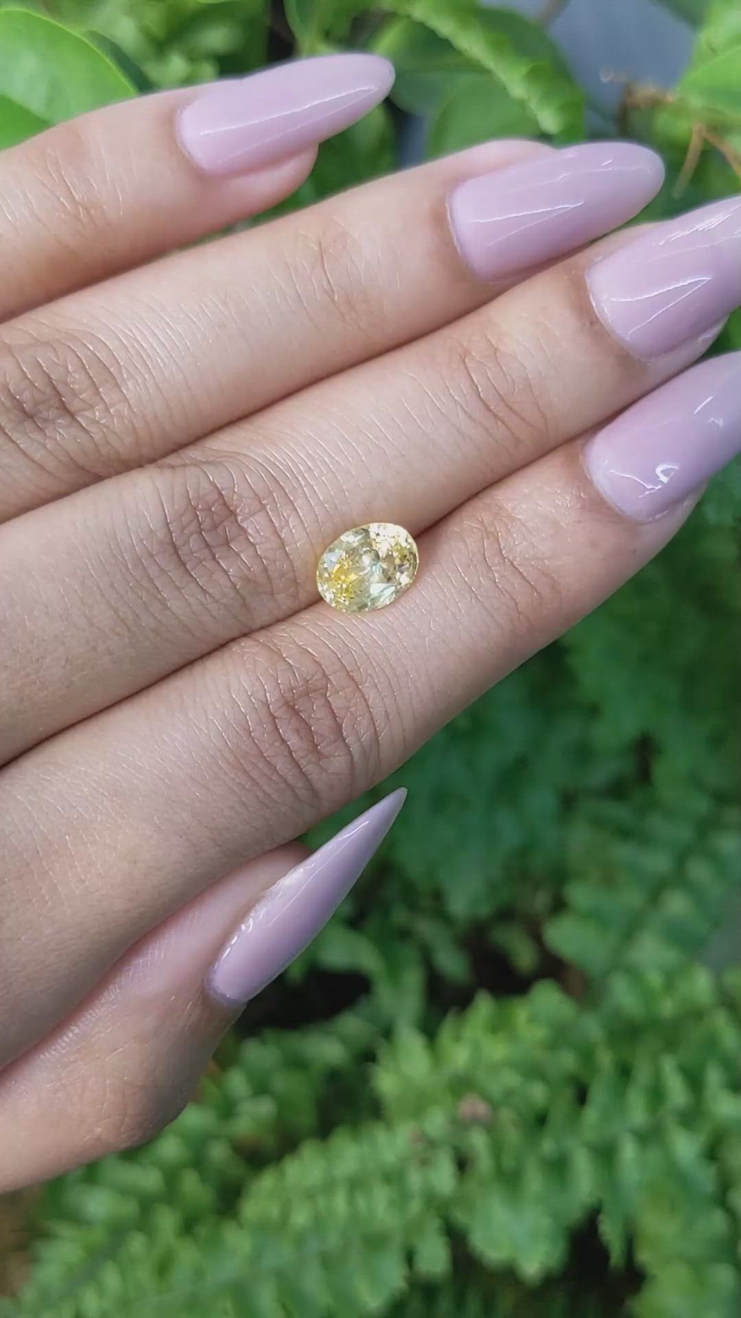 2.56 Ct. Yellow Sapphire from Ceylon (Sri Lanka) Size Video