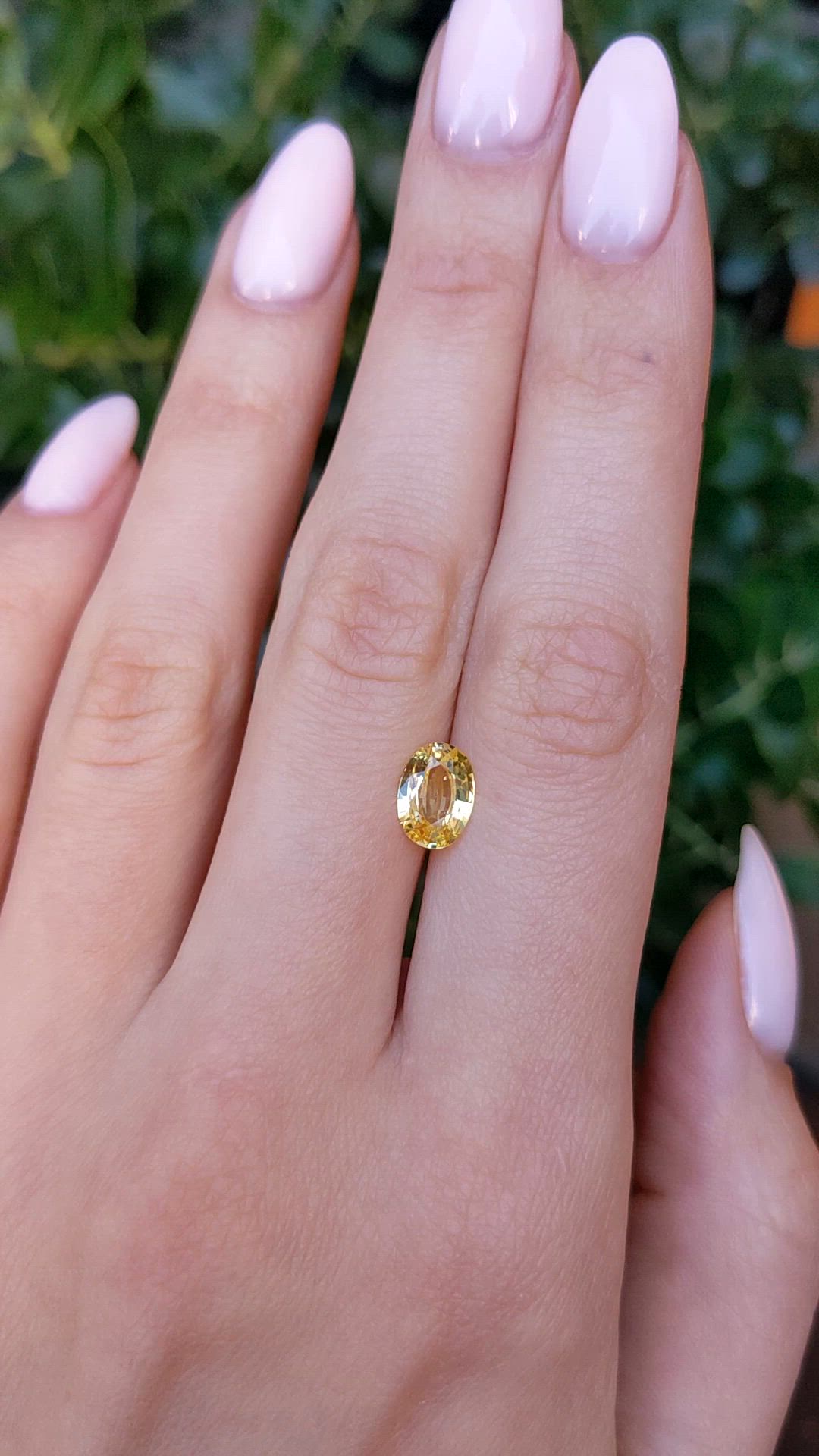 1.70 Ct. Yellow Sapphire from Ceylon (Sri Lanka) Size Video