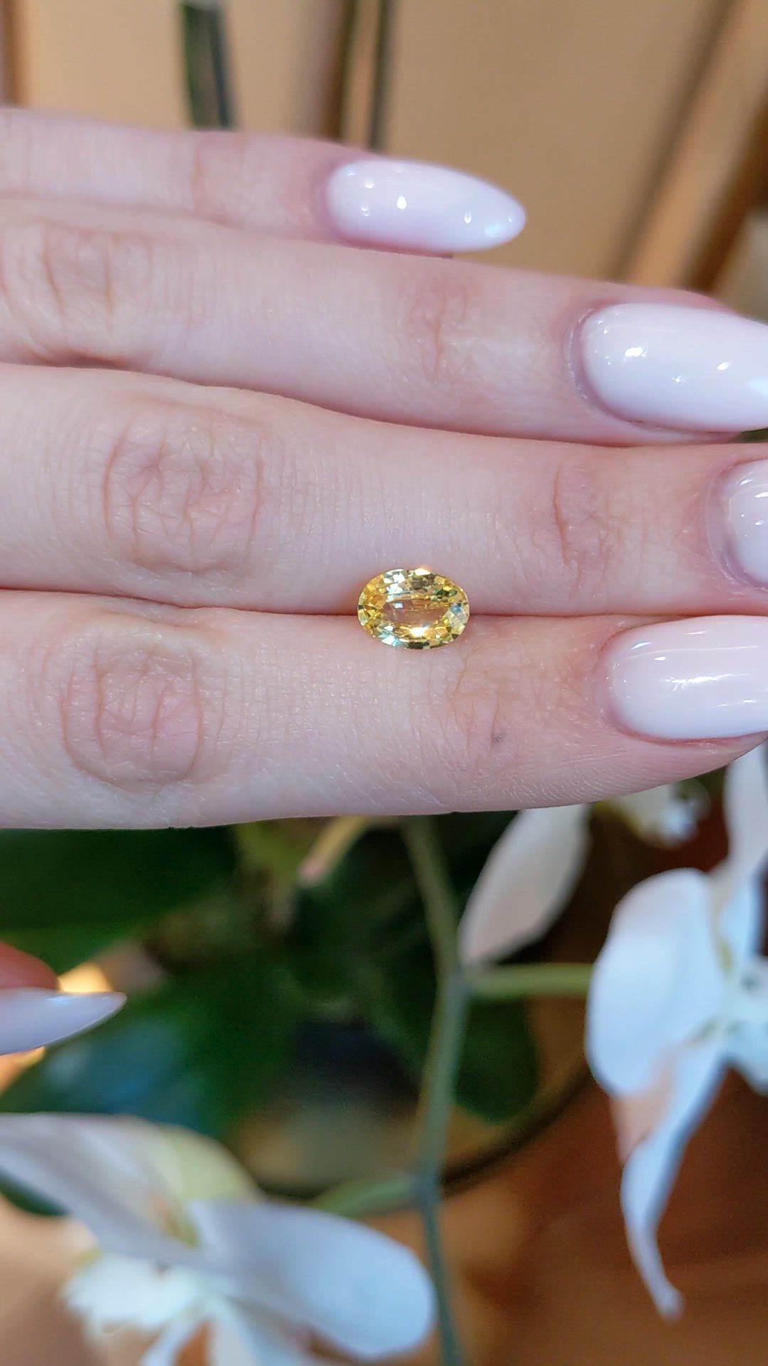 1.70 Ct. Yellow Sapphire from Ceylon (Sri Lanka) Size Video