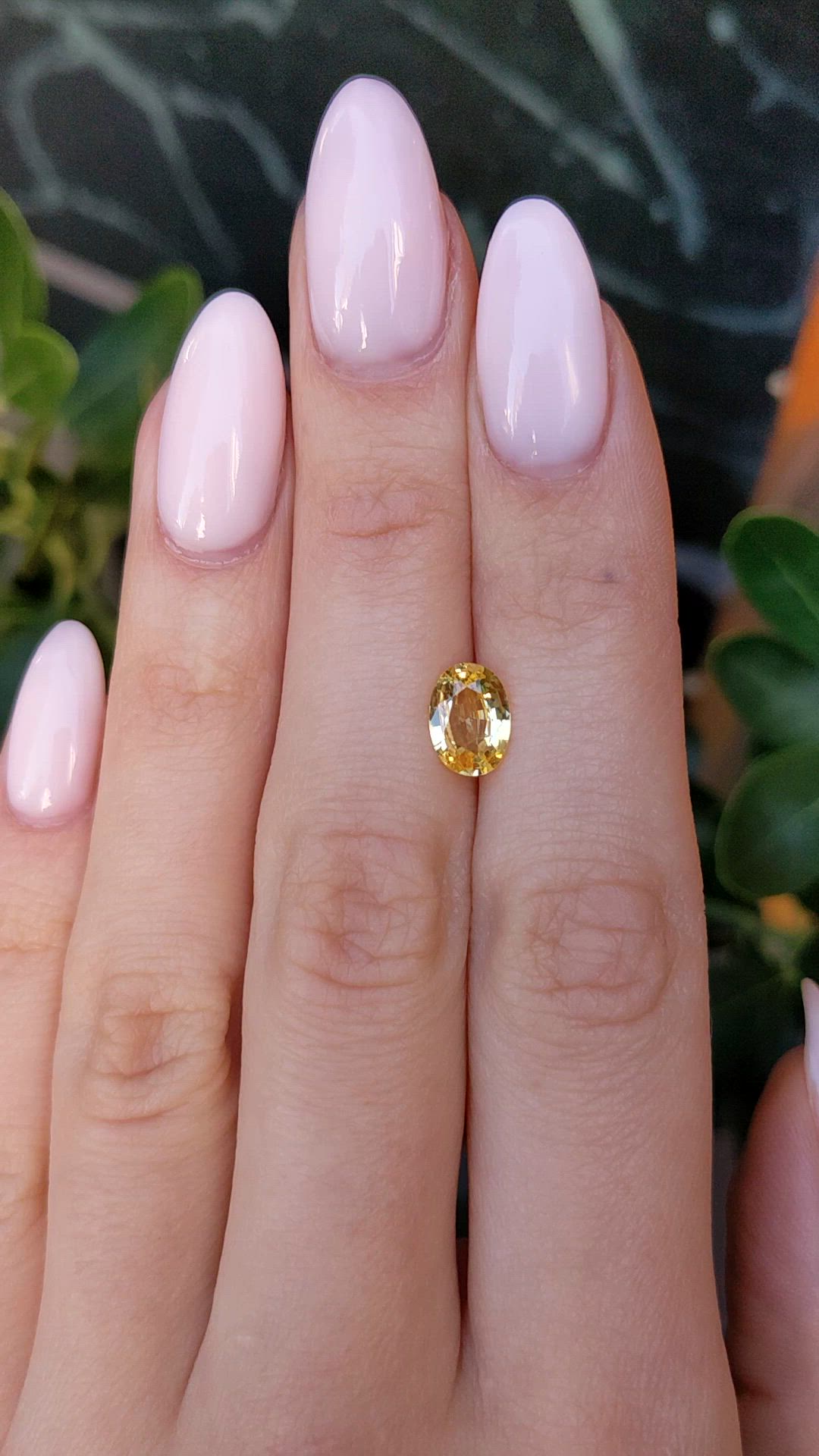 1.70 Ct. Yellow Sapphire from Ceylon (Sri Lanka) Size Video