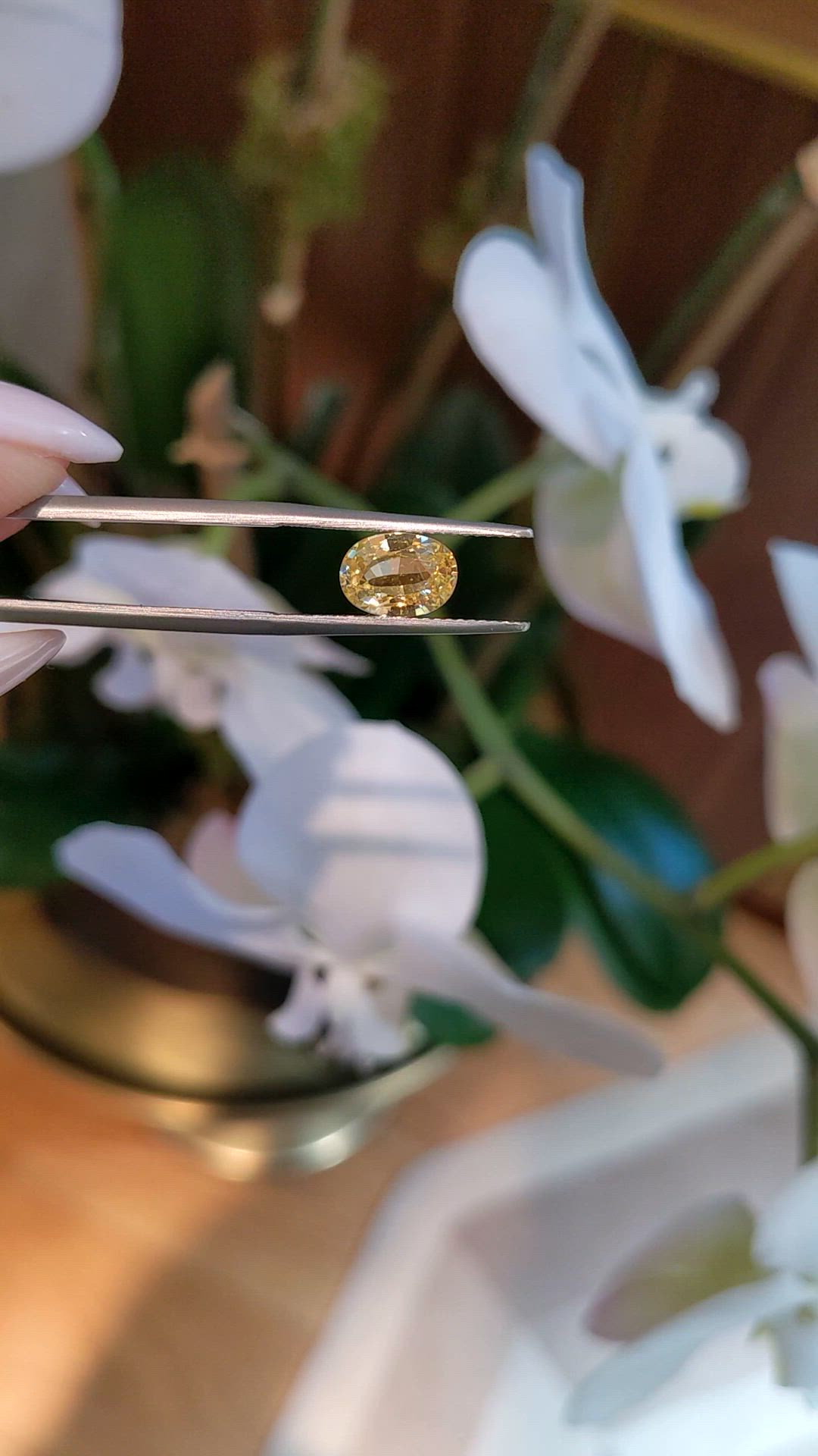 1.70 Ct. Yellow Sapphire from Ceylon (Sri Lanka) Size Video