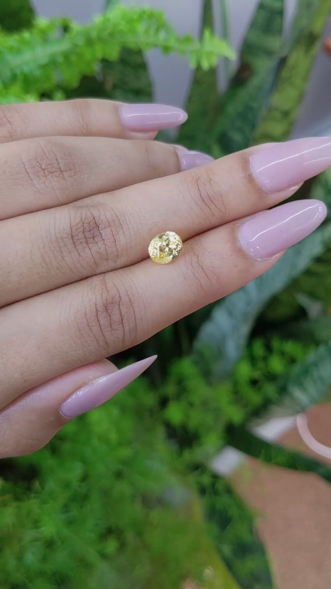 1.90 Ct. Yellow Sapphire from Ceylon (Sri Lanka) Size Video