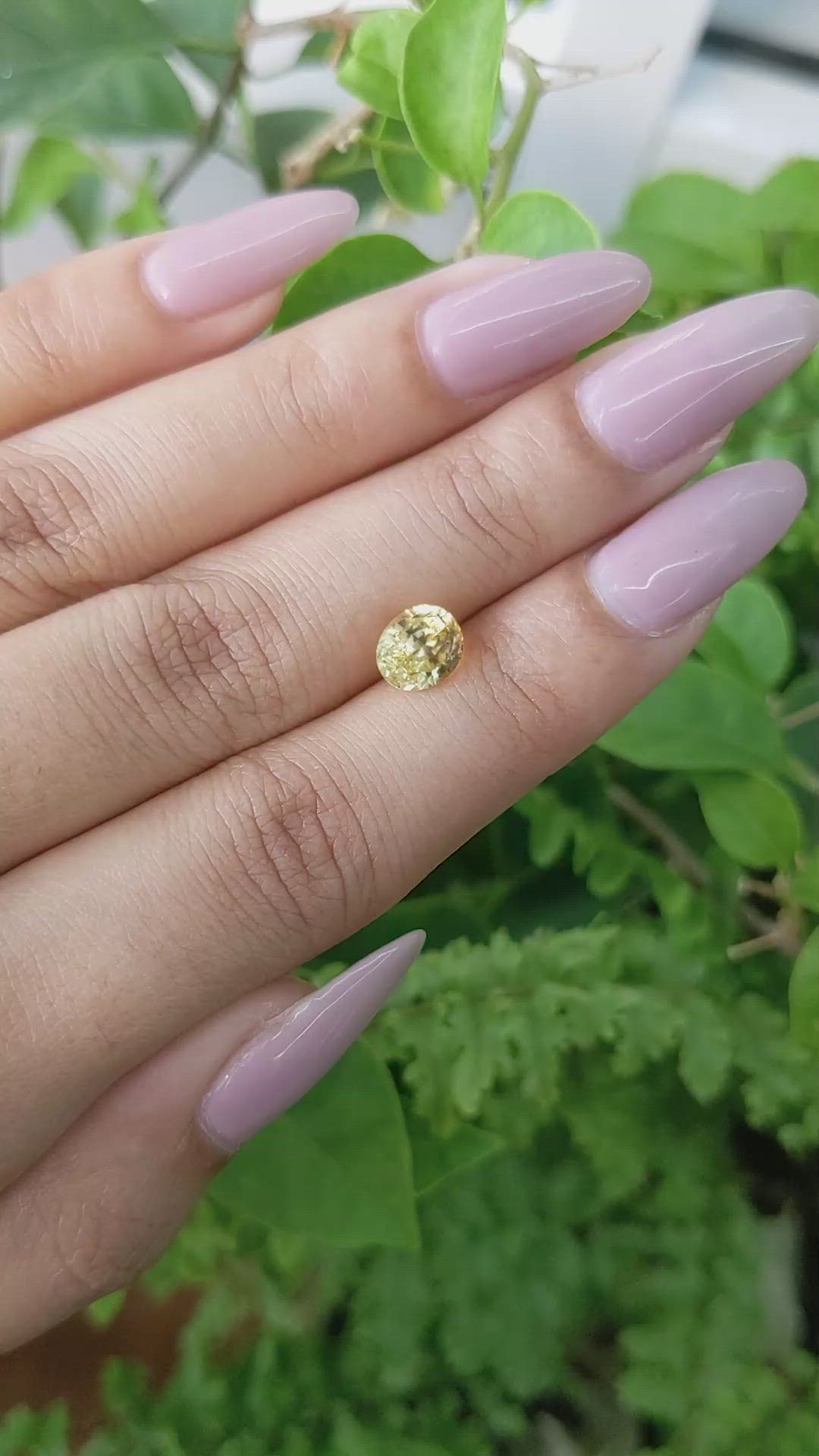 1.90 Ct. Yellow Sapphire from Ceylon (Sri Lanka) Size Video