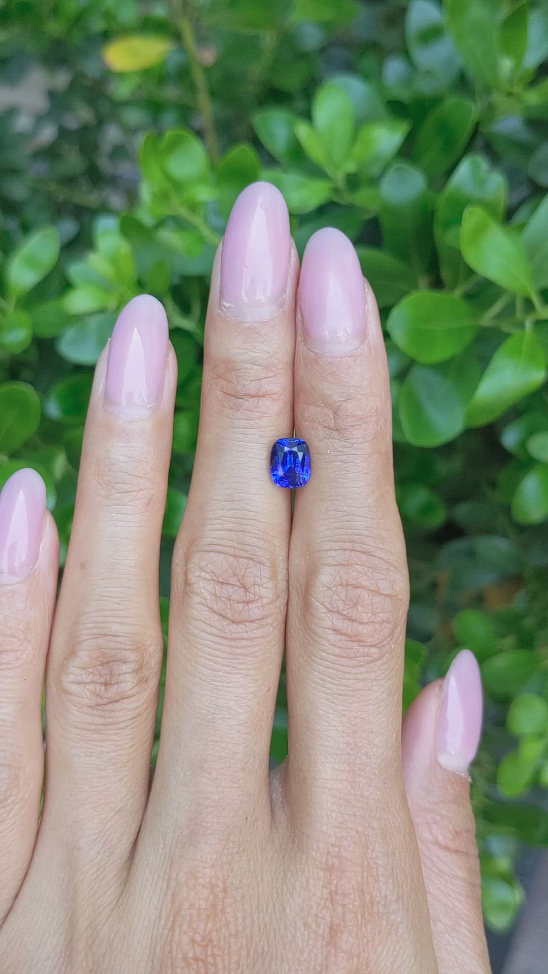1.66 Ct. Blue Sapphire from Ceylon (Sri Lanka) Size Video