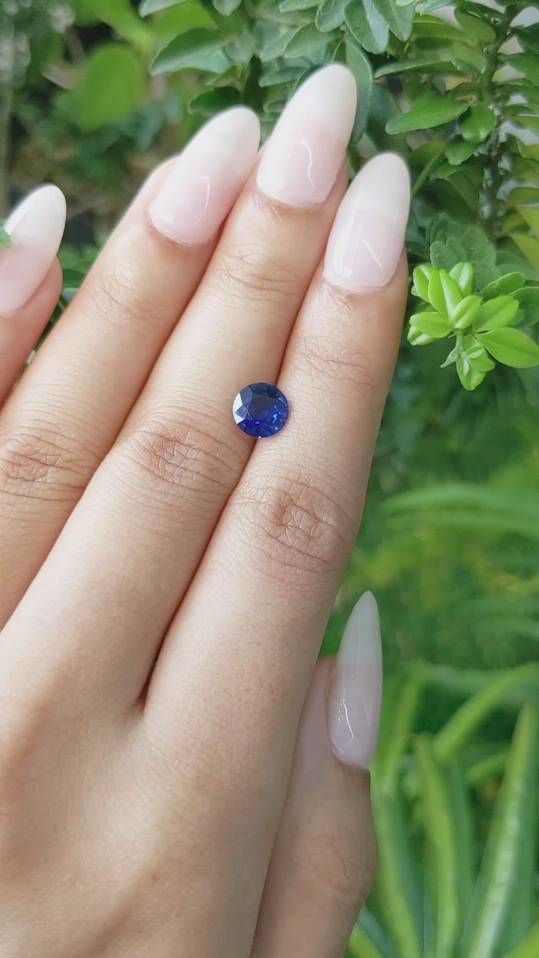 1.35 Ct. Blue Sapphire from Ceylon (Sri Lanka) Size Video