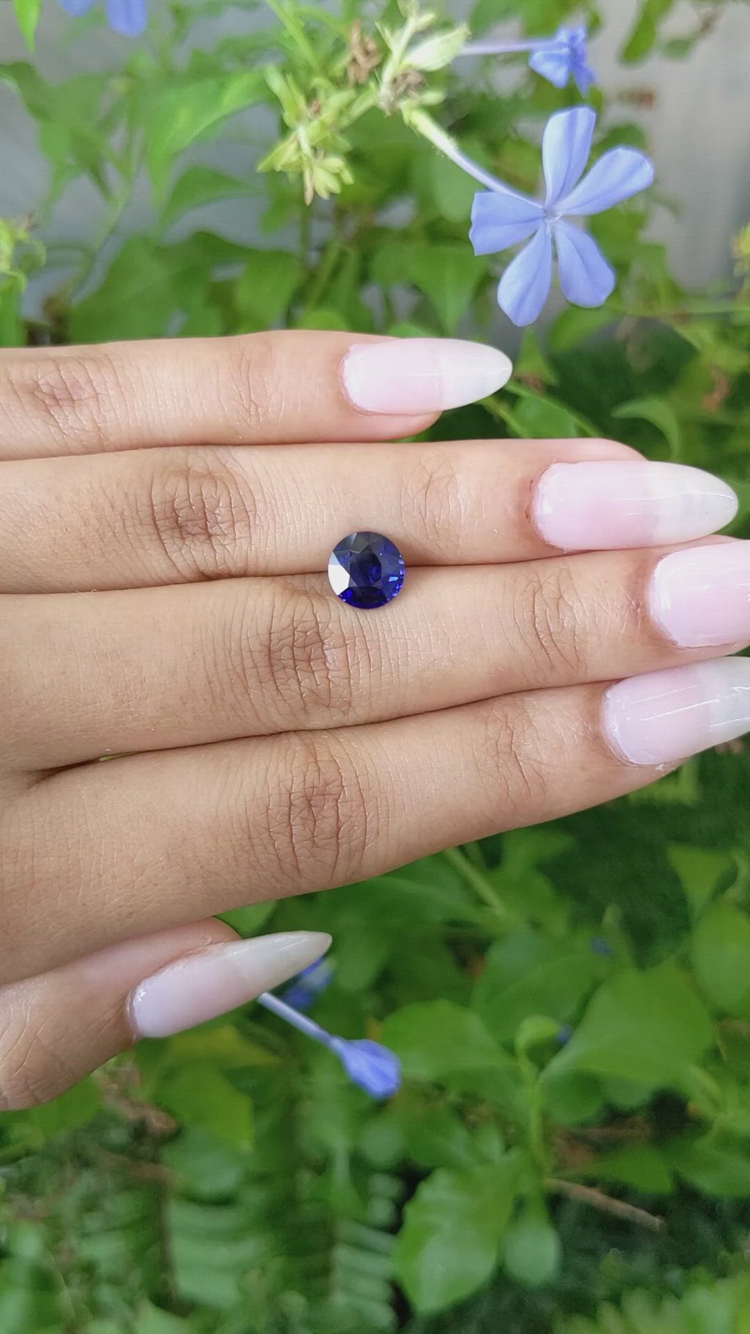 2.17 Ct. Blue Sapphire from Ceylon (Sri Lanka) Size Video