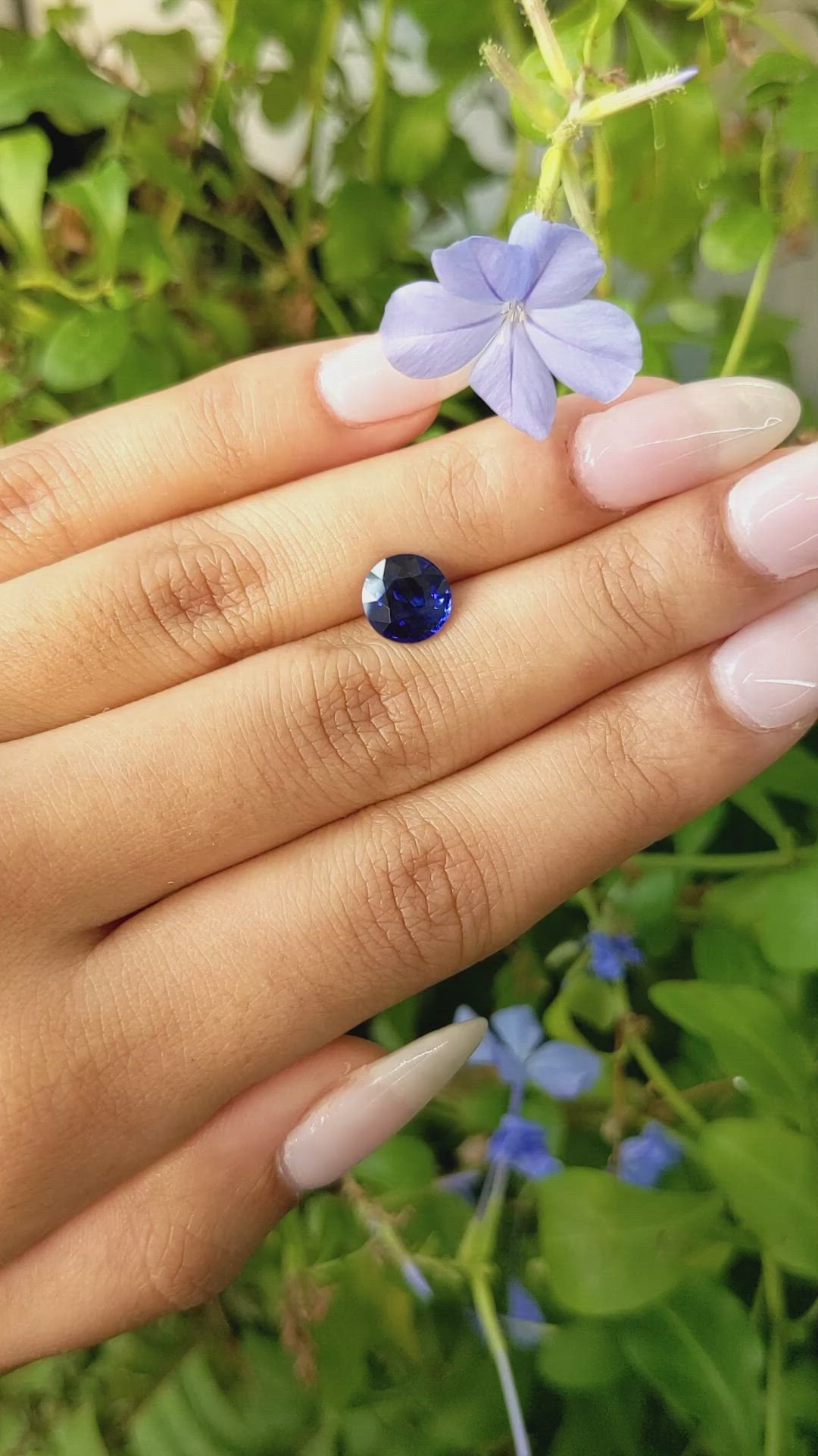 2.17 Ct. Blue Sapphire from Ceylon (Sri Lanka) Size Video