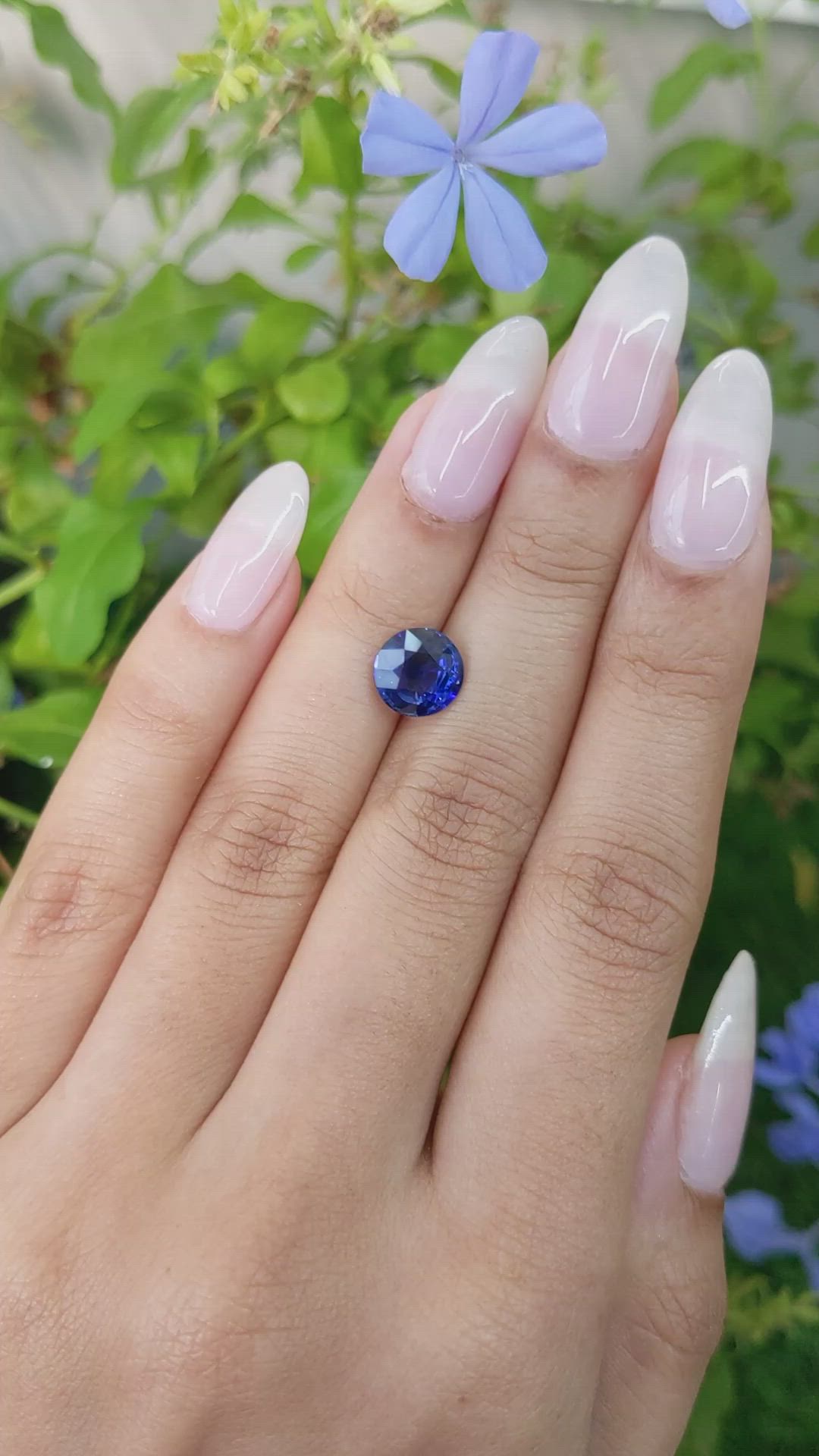 2.57 Ct. Blue Sapphire from Ceylon (Sri Lanka) Size Video