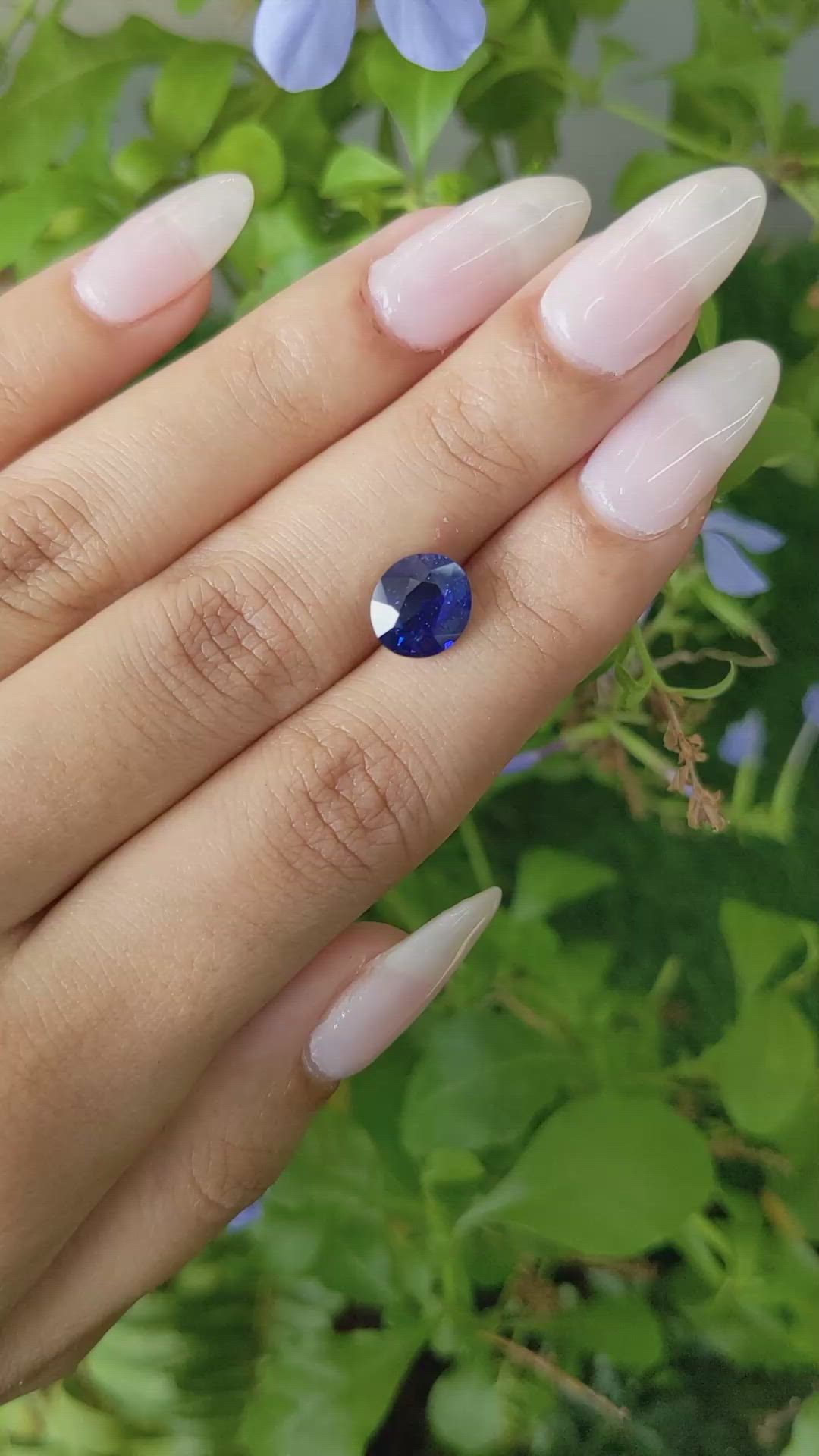 2.99 Ct. Blue Sapphire from Ceylon (Sri Lanka) Size Video