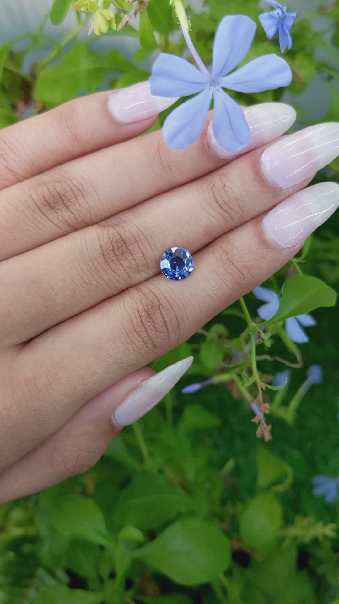1.60 Ct. Blue Sapphire from Ceylon (Sri Lanka) Size Video
