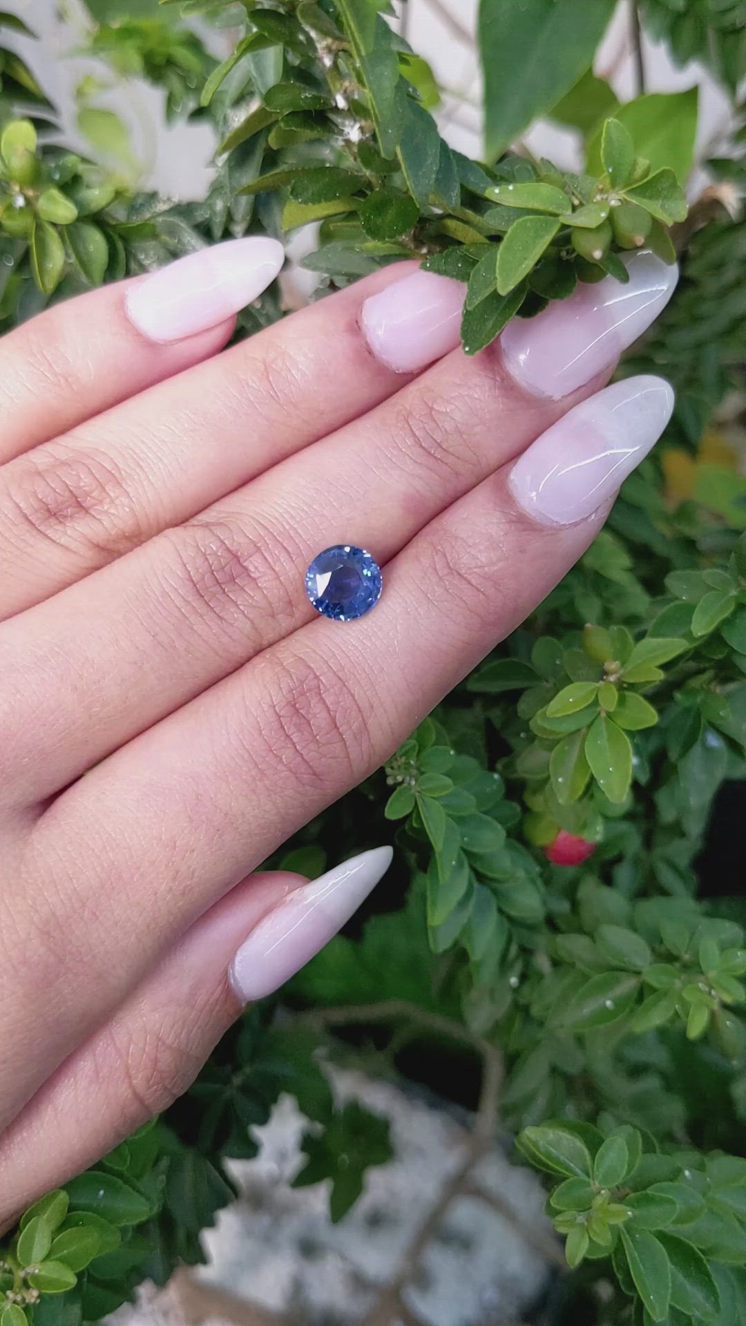 2.56 Ct. Blue Sapphire from Ceylon (Sri Lanka) Size Video