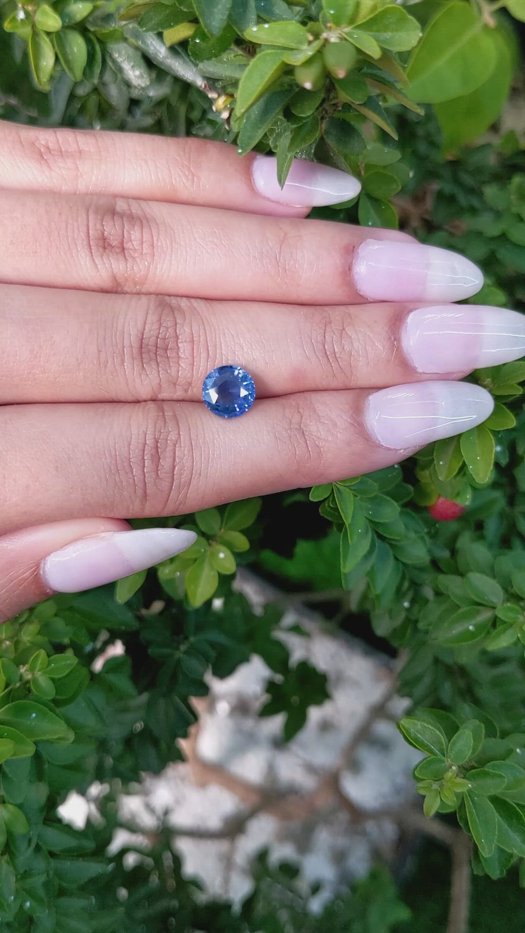2.56 Ct. Blue Sapphire from Ceylon (Sri Lanka) Size Video
