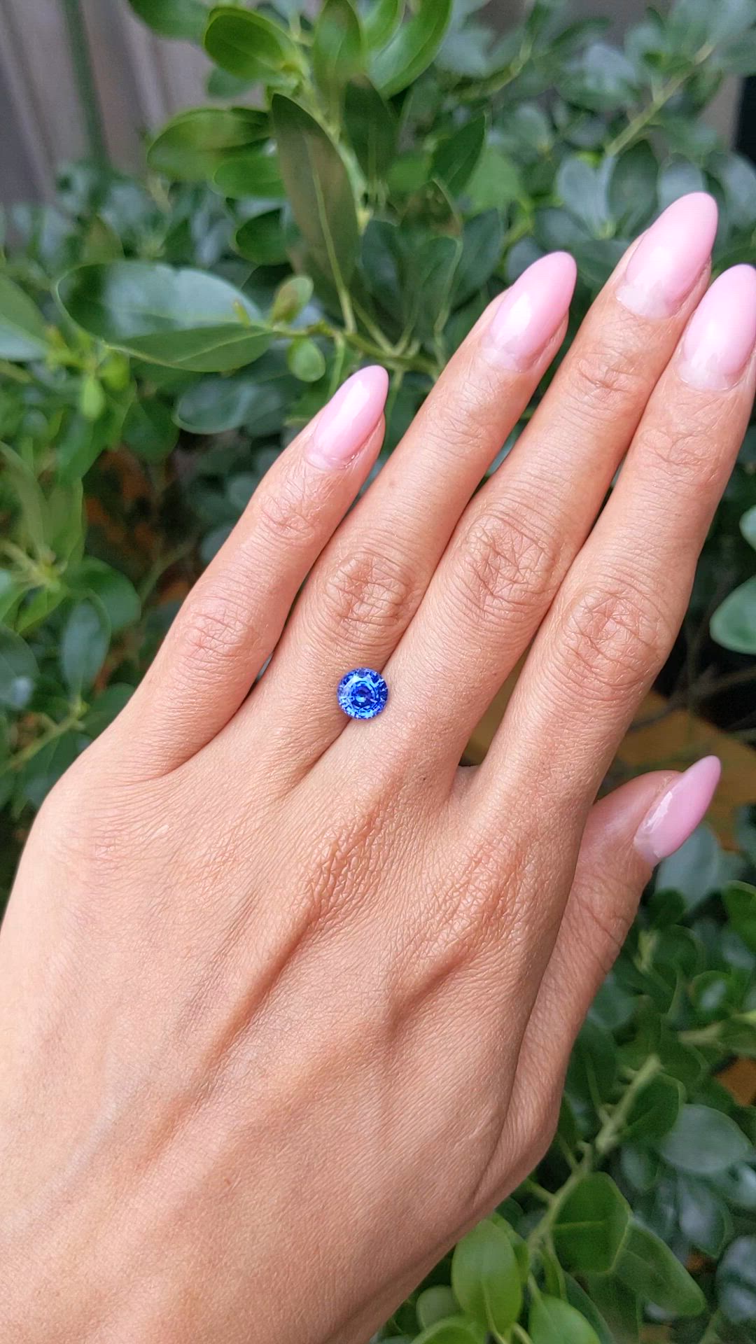 2.00 Ct. Blue Sapphire from Ceylon (Sri Lanka) Size Video