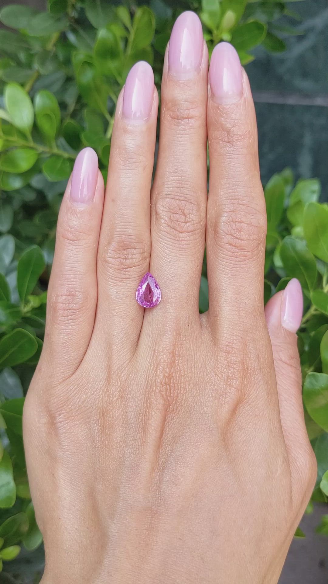 2.02 Ct. Pink Sapphire from Ceylon (Sri Lanka) Size Video