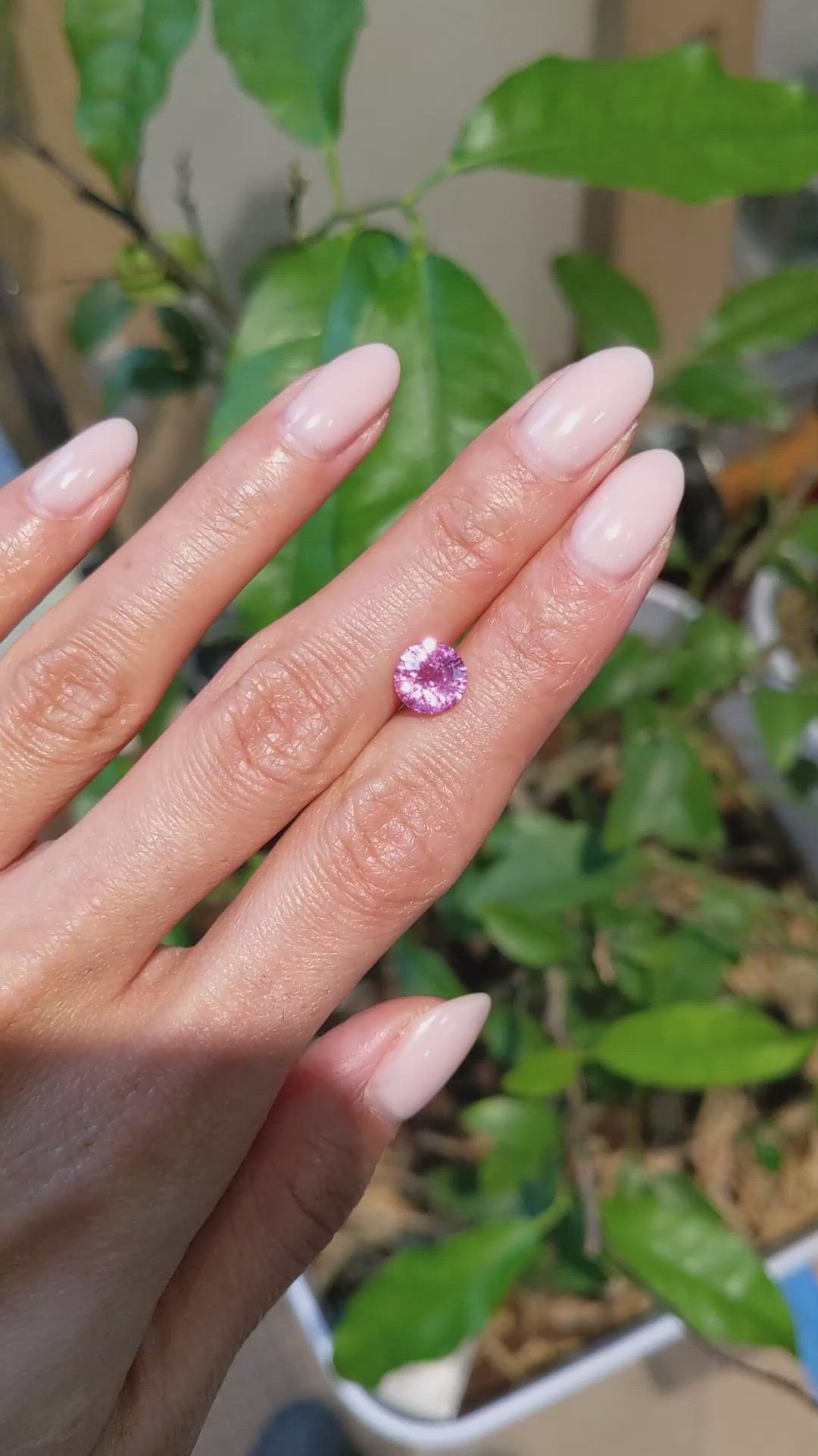 2.52 Ct. Pink Sapphire from Madagascar Size Video