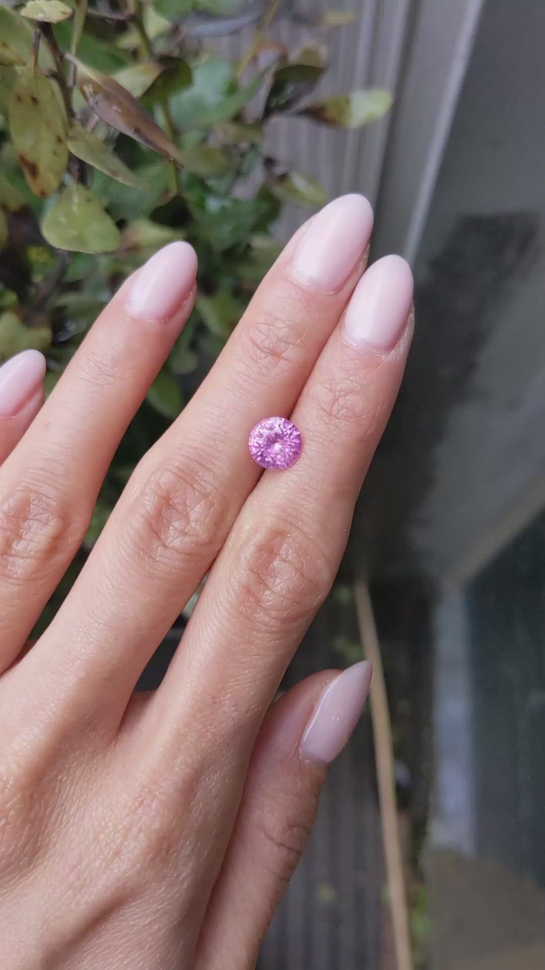 2.32 Ct. Pink Sapphire from Ceylon (Sri Lanka) Size Video