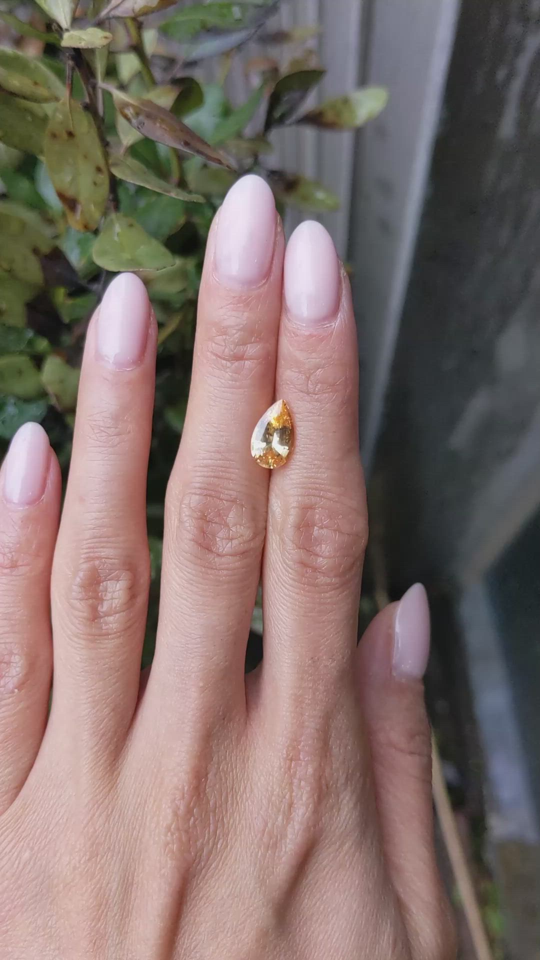 2.62 Ct. Orangish Yellow Sapphire from Ceylon (Sri Lanka) Size Video