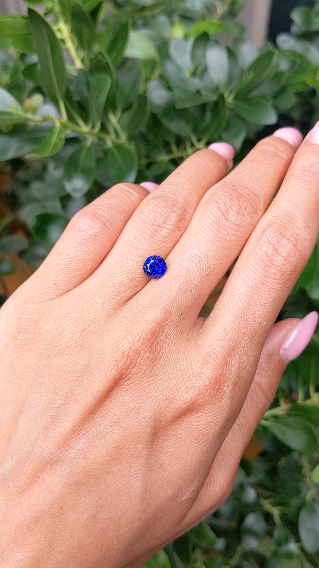 1.46 Ct. Blue Sapphire from Ceylon (Sri Lanka) Size Video