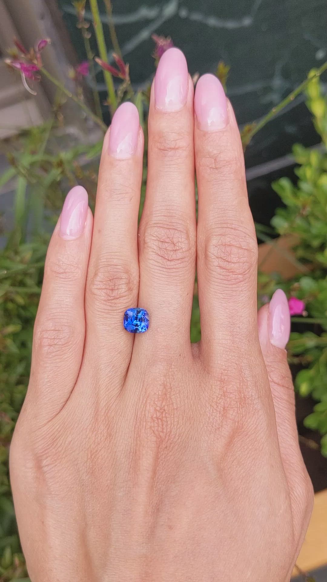 2.37 Ct. Blue Sapphire from Ceylon (Sri Lanka) Size Video