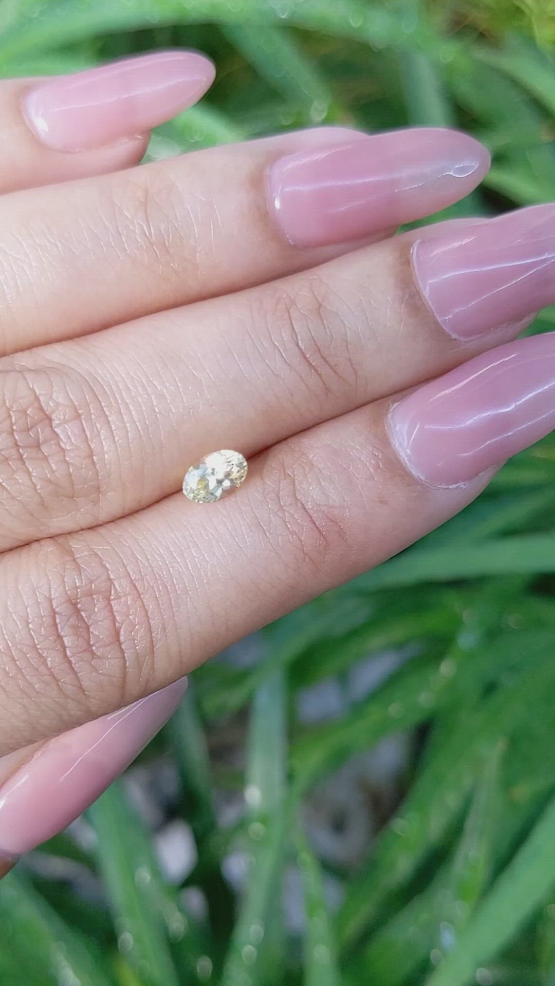0.62 Ct. Yellow Sapphire from Ceylon (Sri Lanka) Size Video