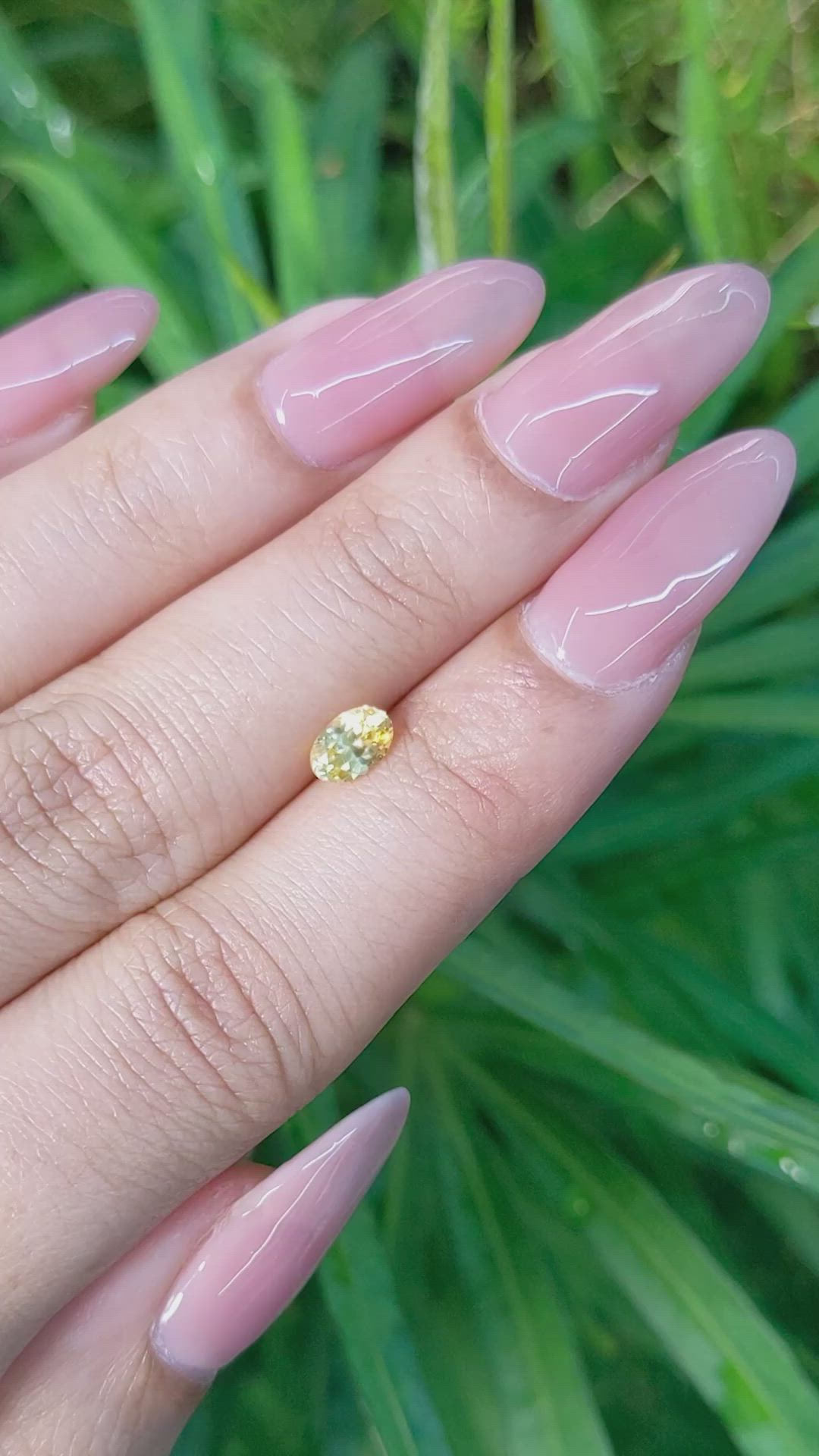 0.59 Ct. Yellow Sapphire from Ceylon (Sri Lanka) Size Video