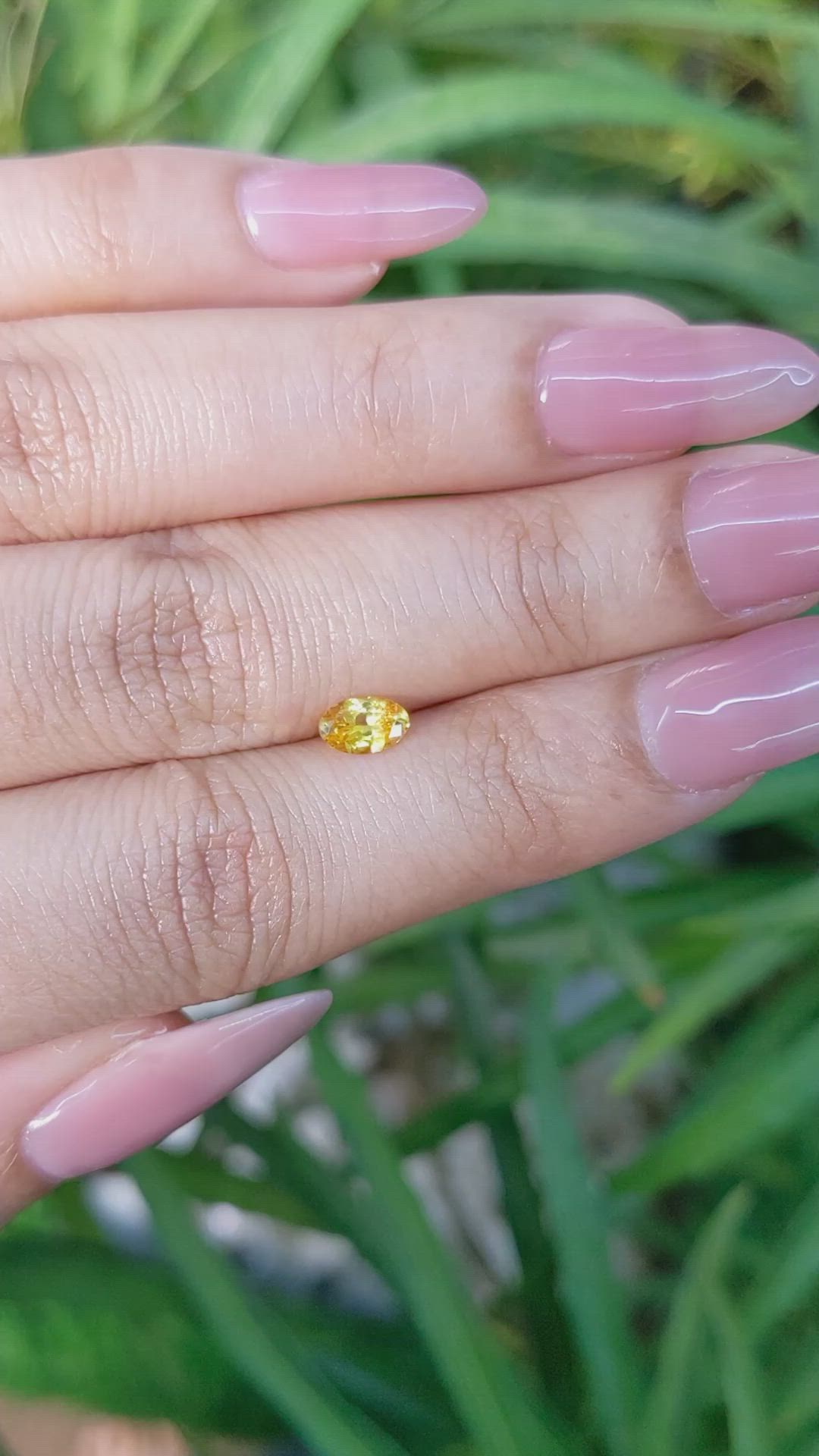 0.48 Ct. Yellowish Orange Sapphire from Ceylon (Sri Lanka) Size Video