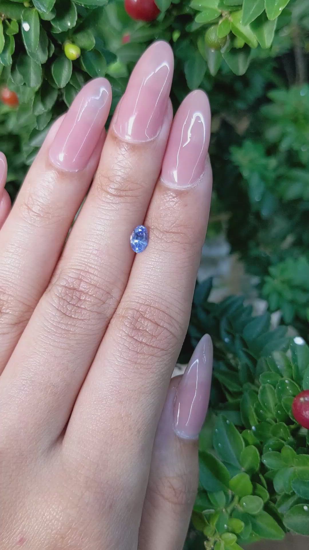 0.50 Ct. Blue Sapphire from Ceylon (Sri Lanka) Size Video