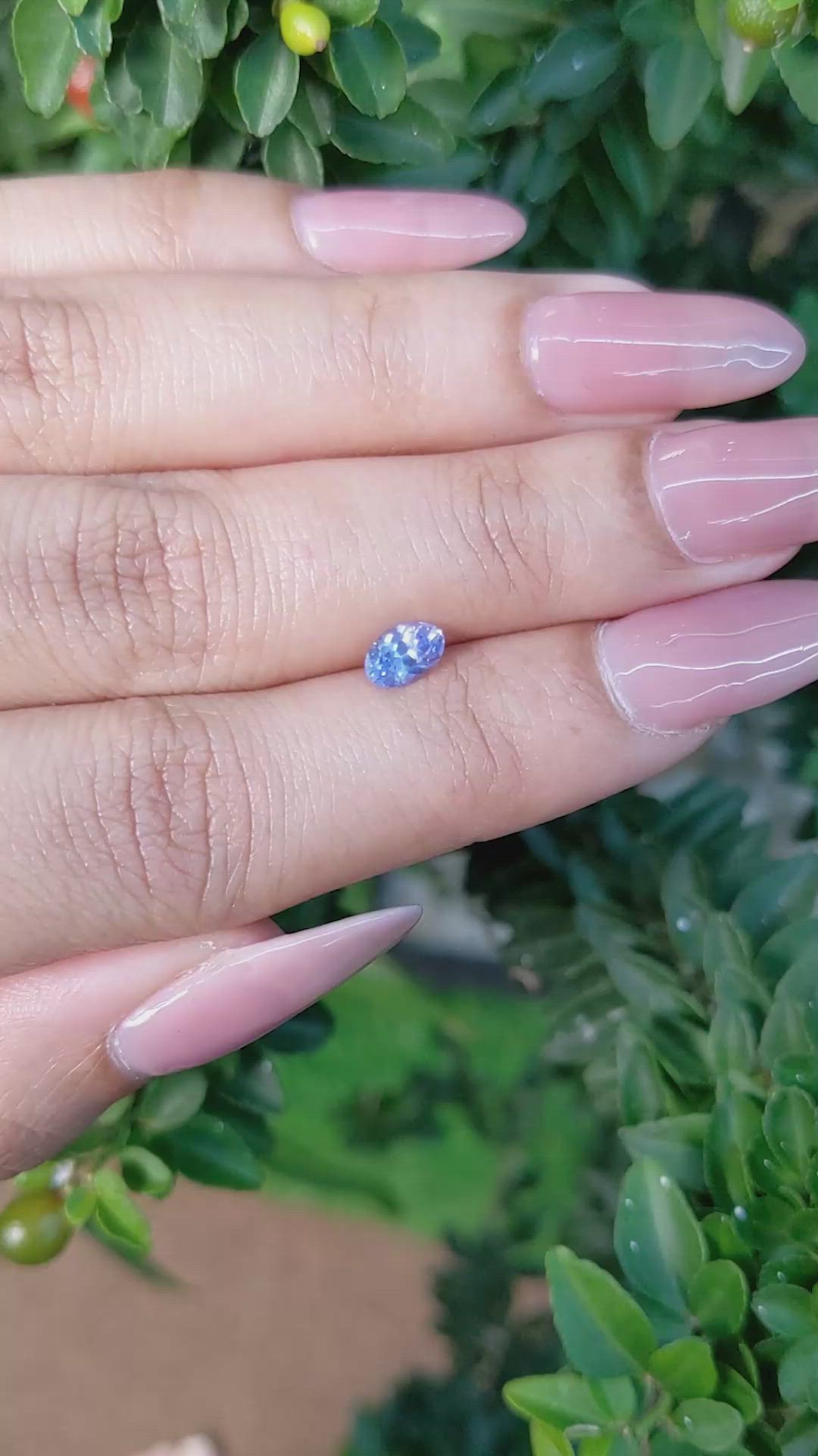 0.50 Ct. Blue Sapphire from Ceylon (Sri Lanka) Size Video