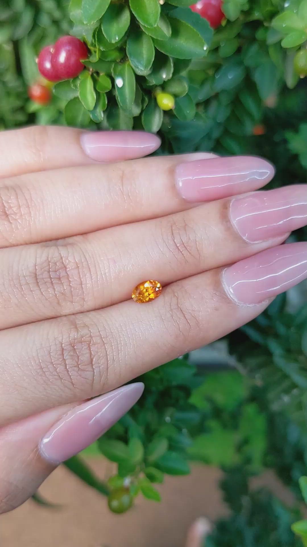 0.61 Ct. Yellowish Orange Sapphire from Ceylon (Sri Lanka) Size Video