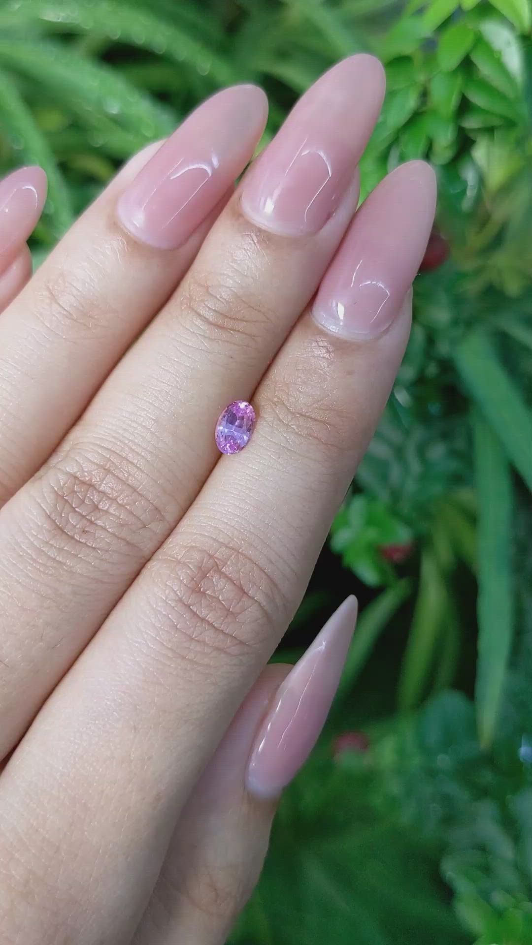 0.51 Ct. Pink Sapphire from Ceylon (Sri Lanka) Size Video