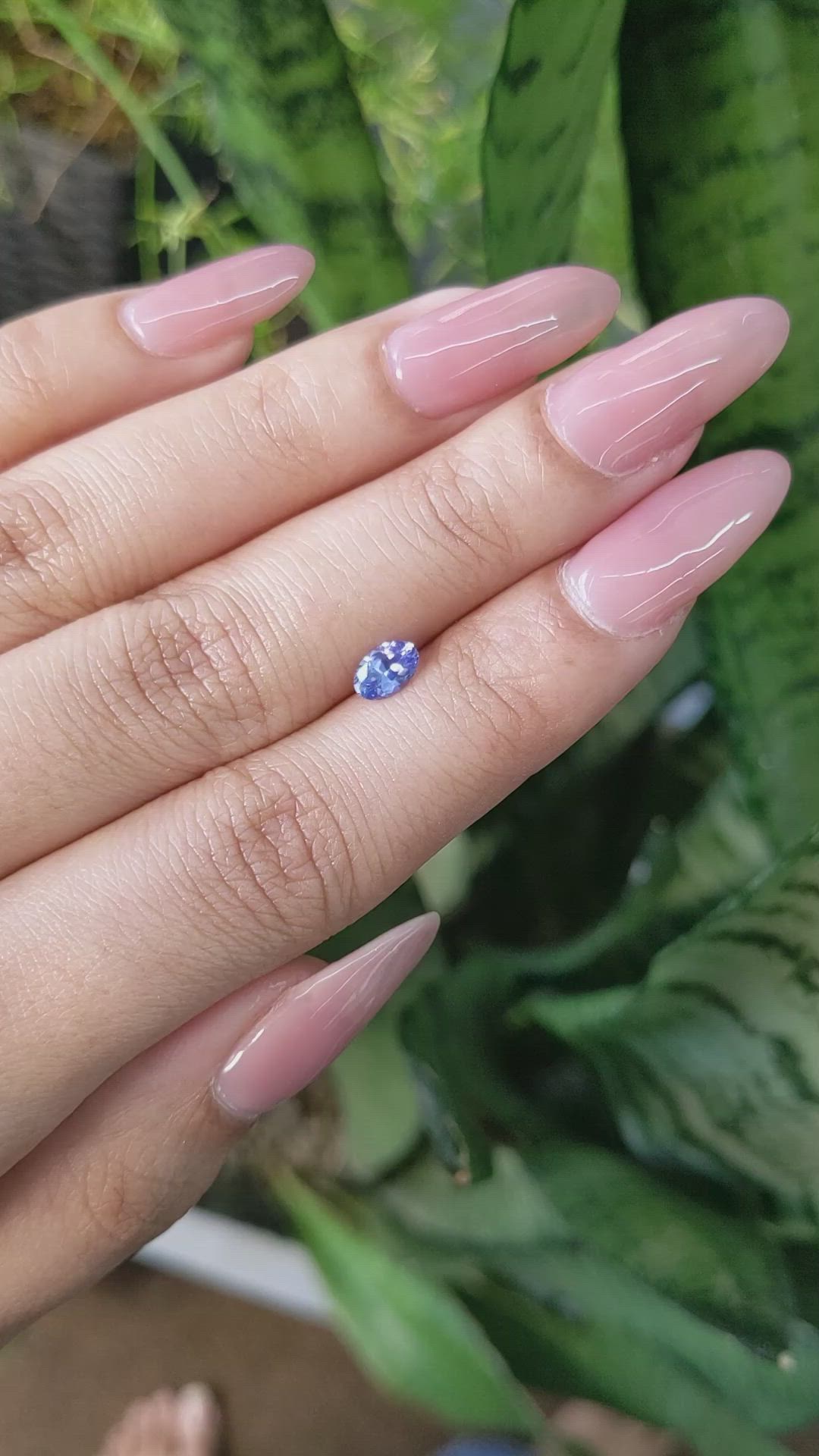 0.50 Ct. Blue Sapphire from Ceylon (Sri Lanka) Size Video