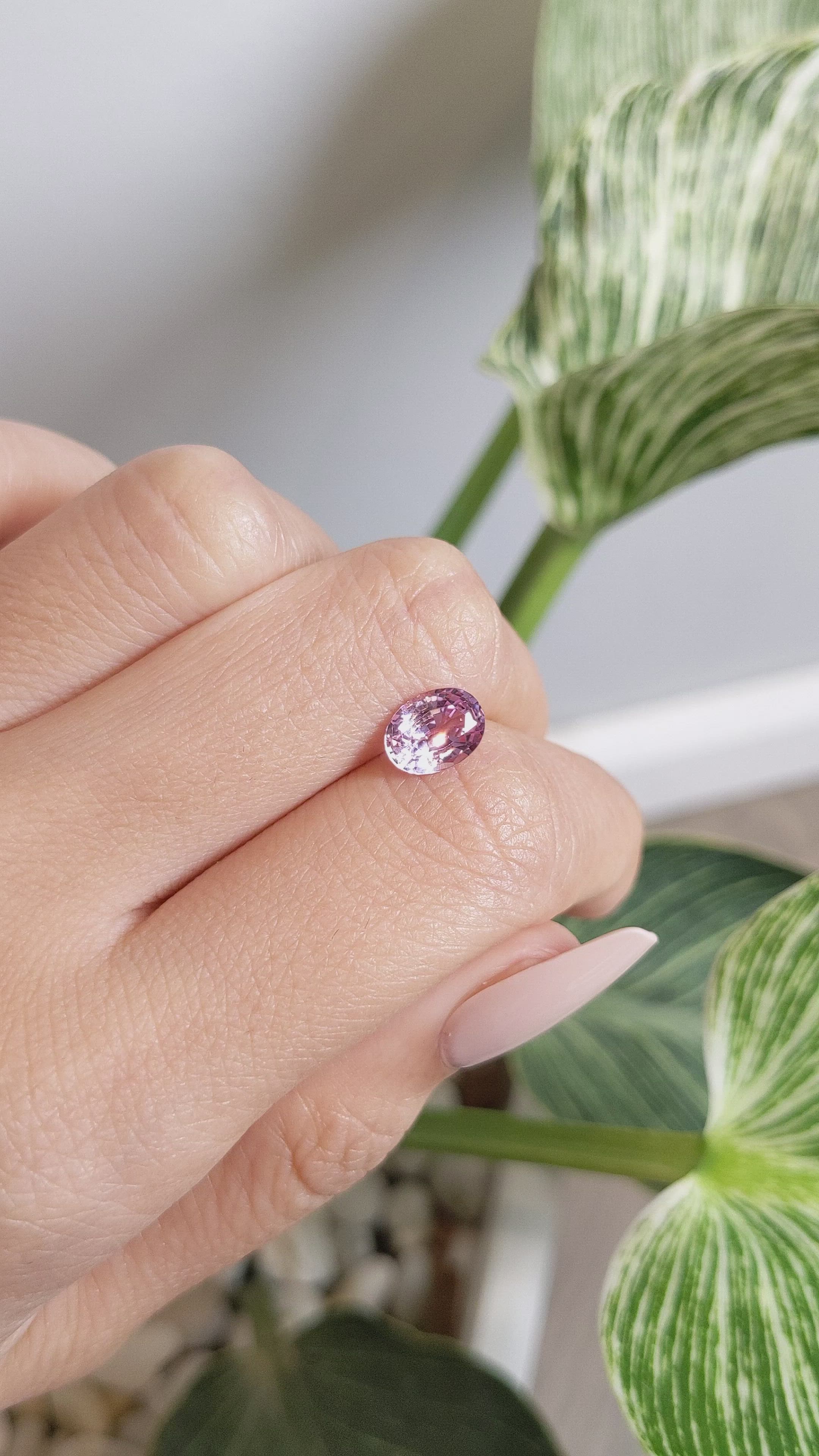 1.75 Ct. Pink Sapphire from Ceylon (Sri Lanka) Size Video
