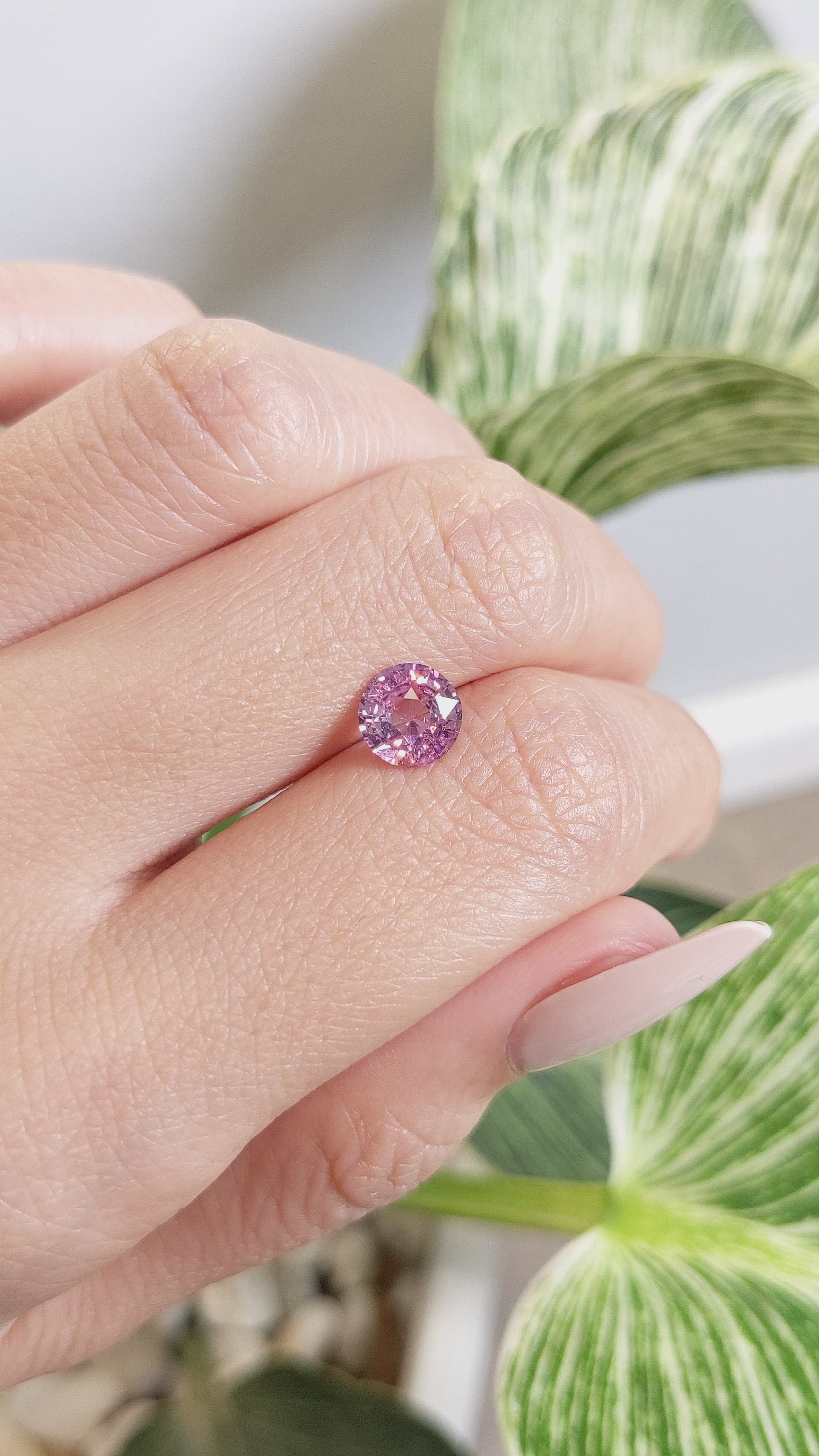 1.57 Ct. Pink Sapphire from Ceylon (Sri Lanka) Size Video