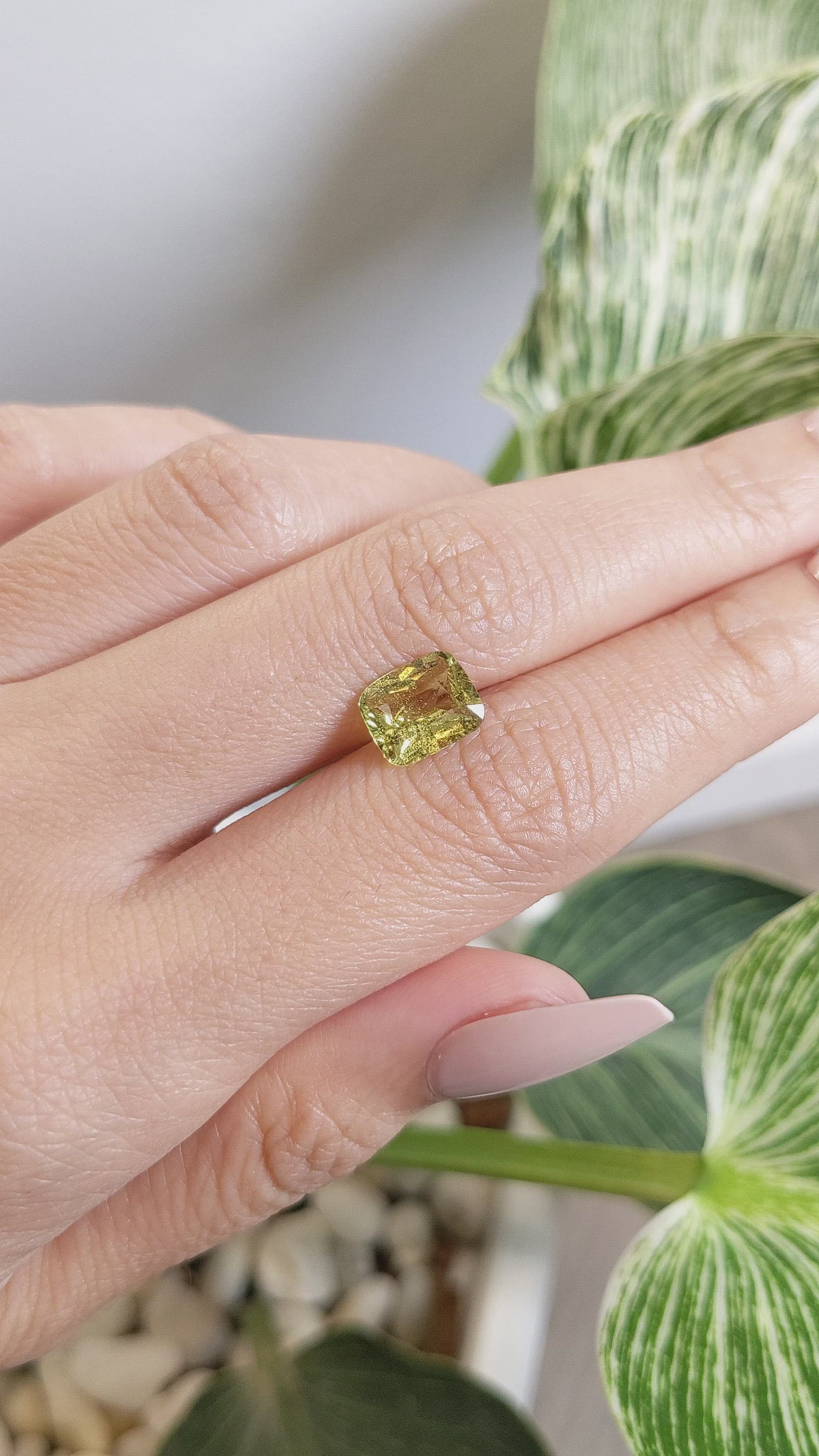 2.67 Ct. Greenish Yellow Sapphire from Ceylon (Sri Lanka) Size Video