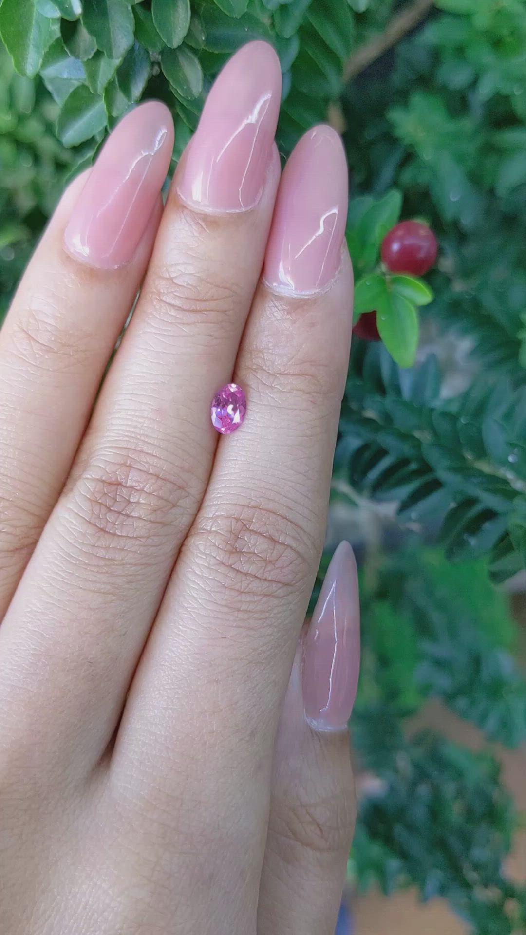 0.51 Ct. Pink Sapphire from Ceylon (Sri Lanka) Size Video